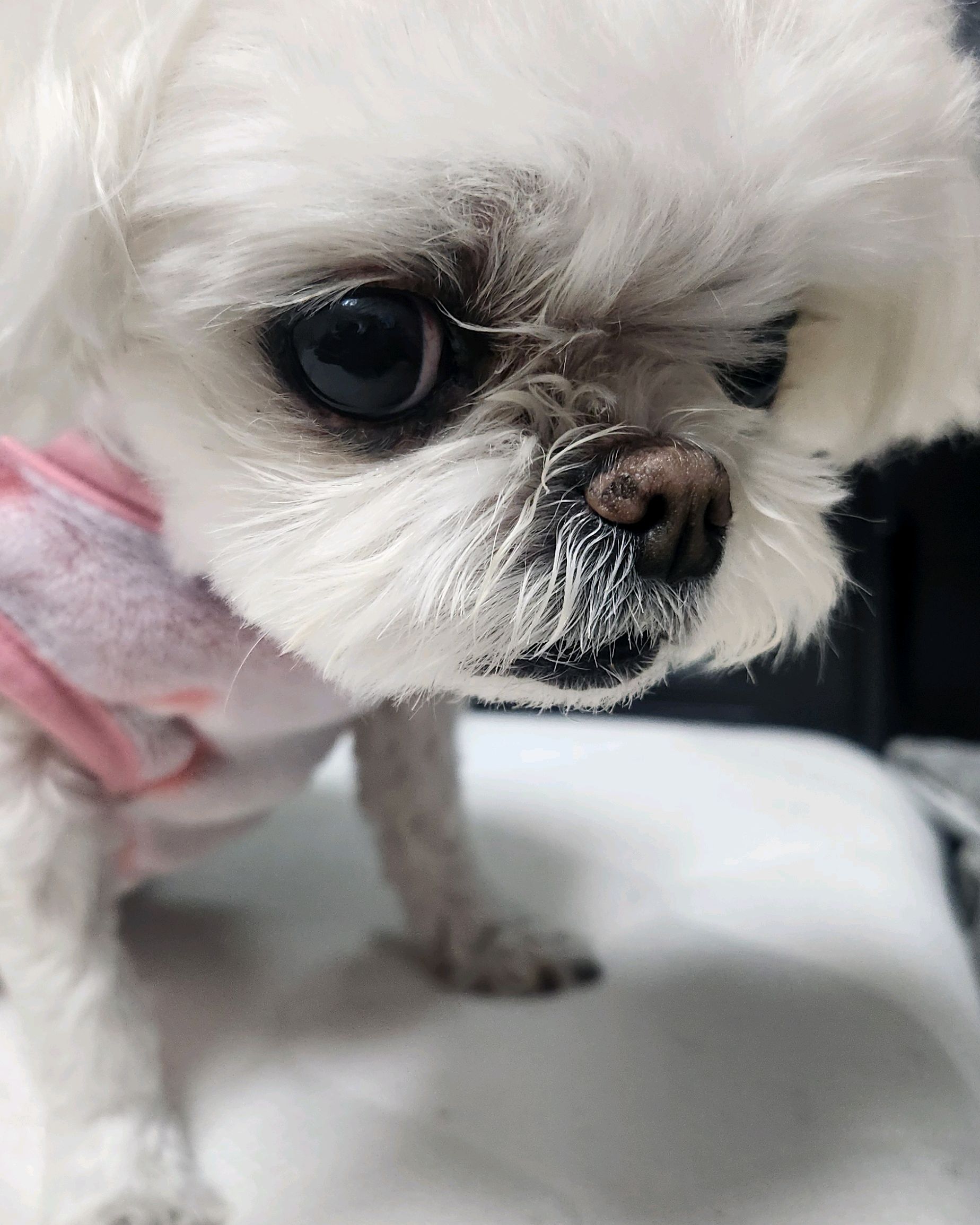 리뷰 사진 1