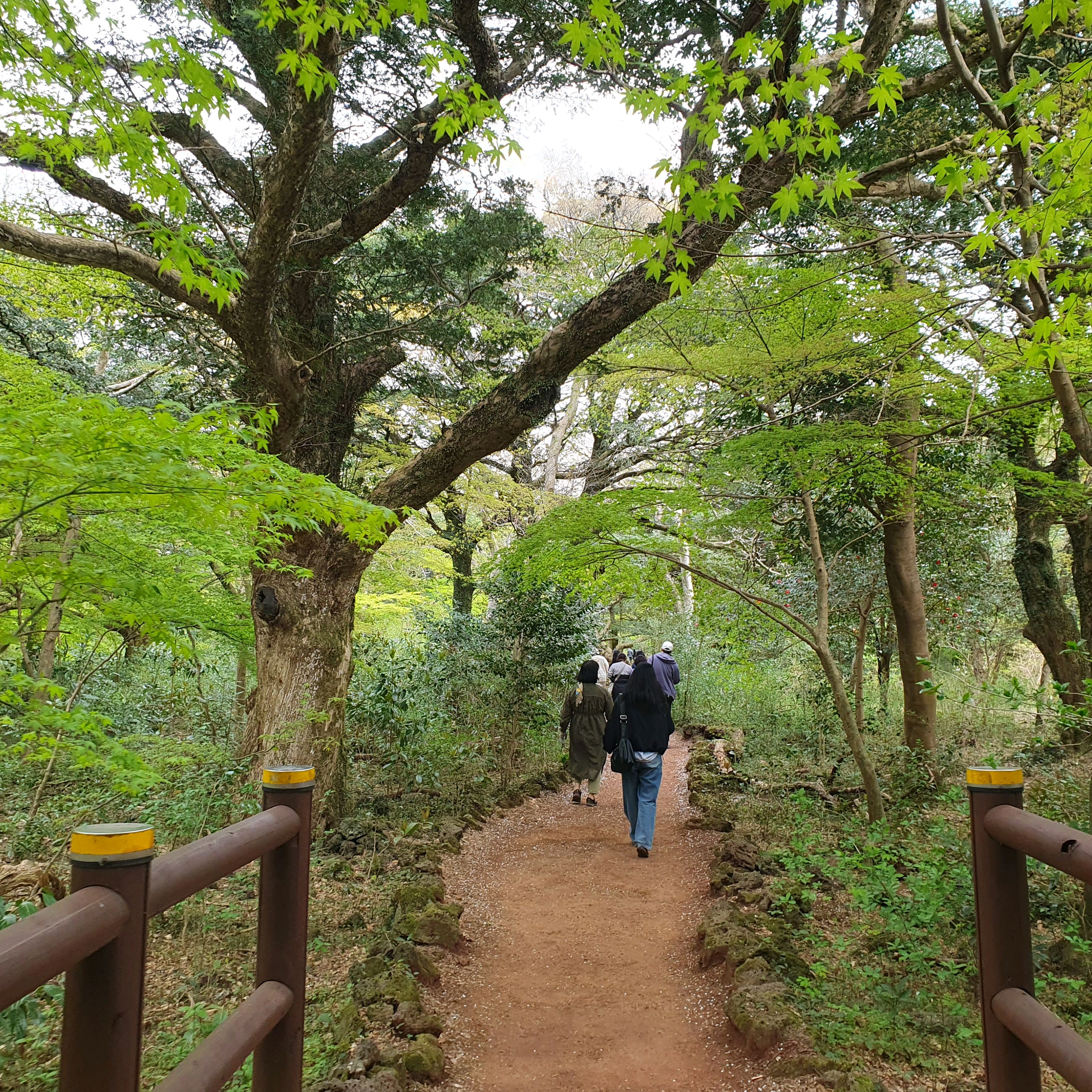 제주 맛집 천짓골식당 5번째 리뷰 이미지