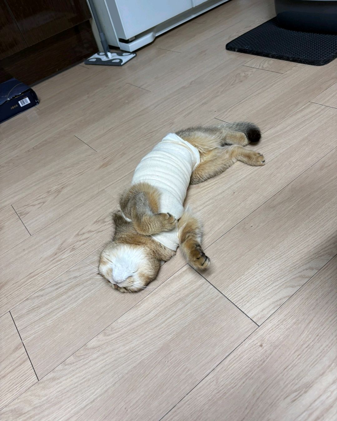 리뷰 사진 2