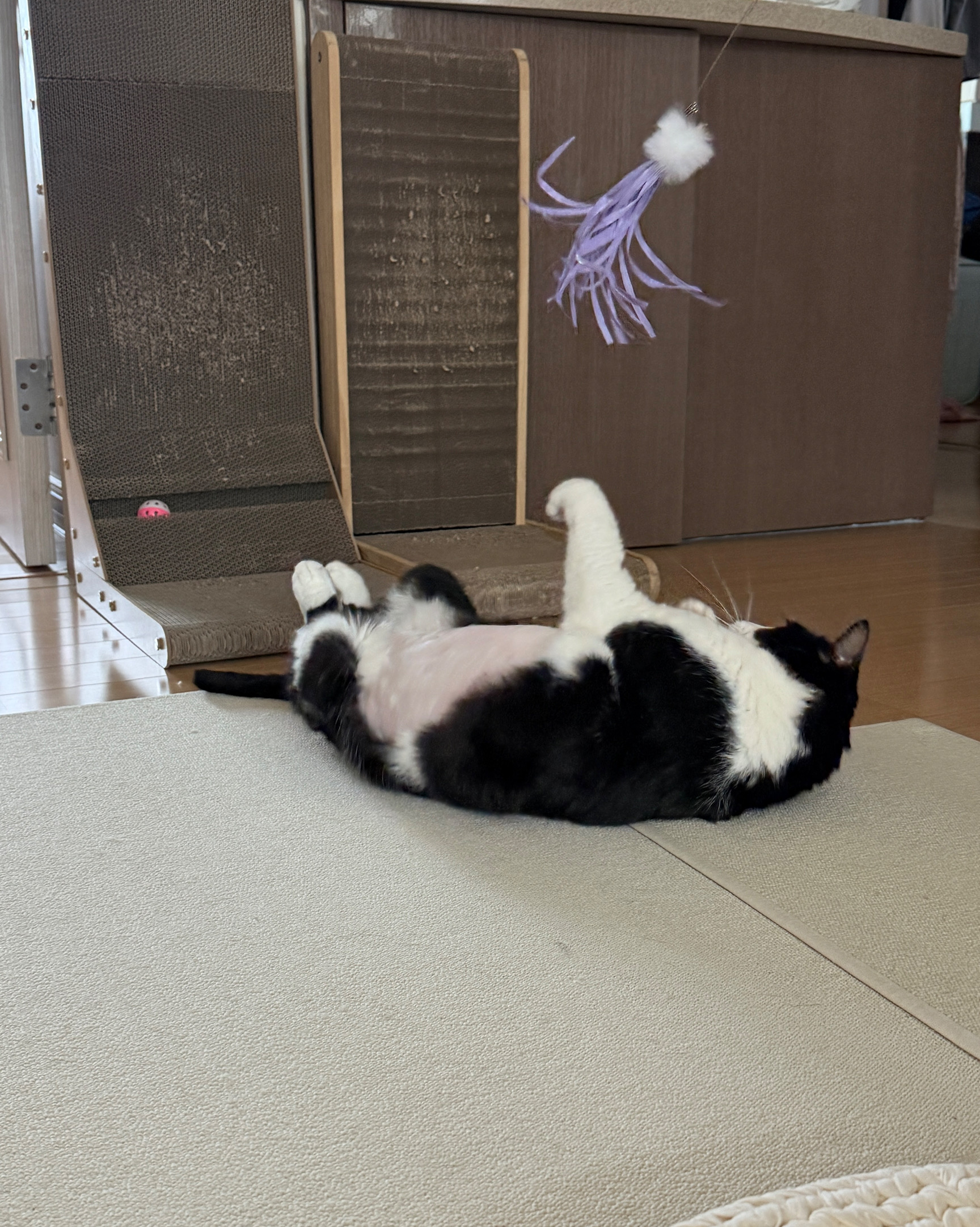 리뷰 사진 2
