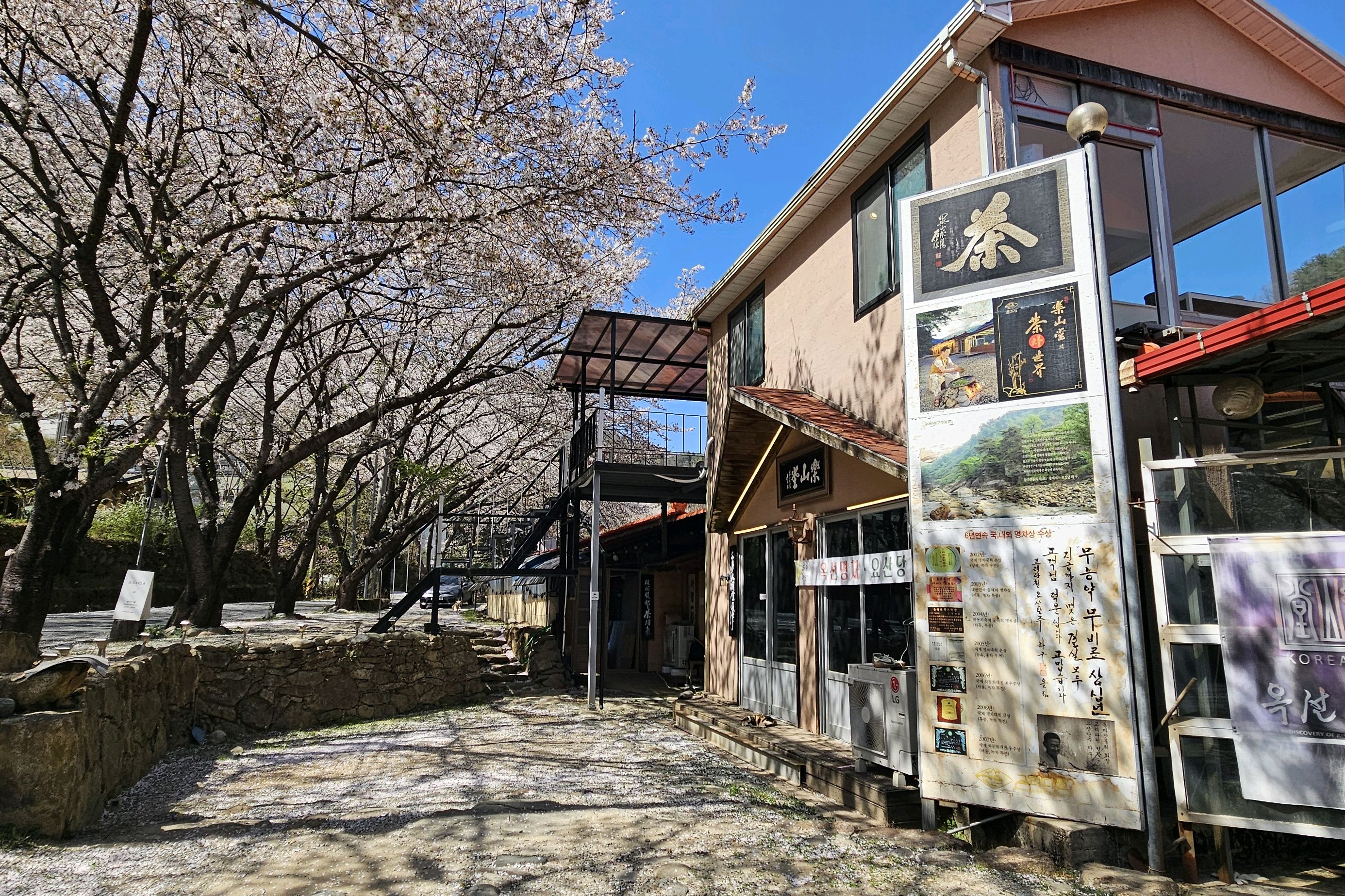 [하동 맛집 옥선명차] 직접 가본 로컬 리뷰