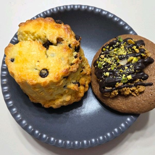 정자역 맛집 카타리나 내돈내산 찐리뷰