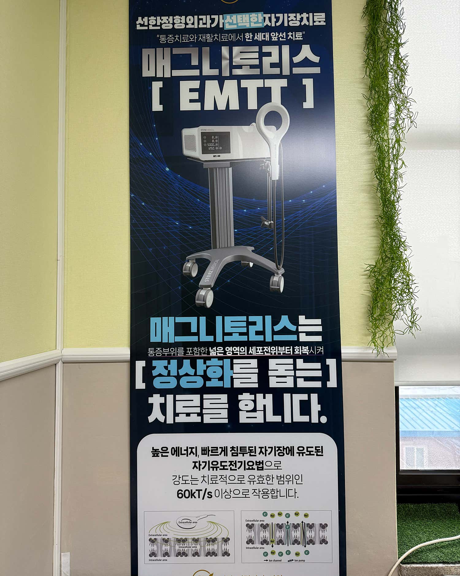 선한정형외과의원 이미지