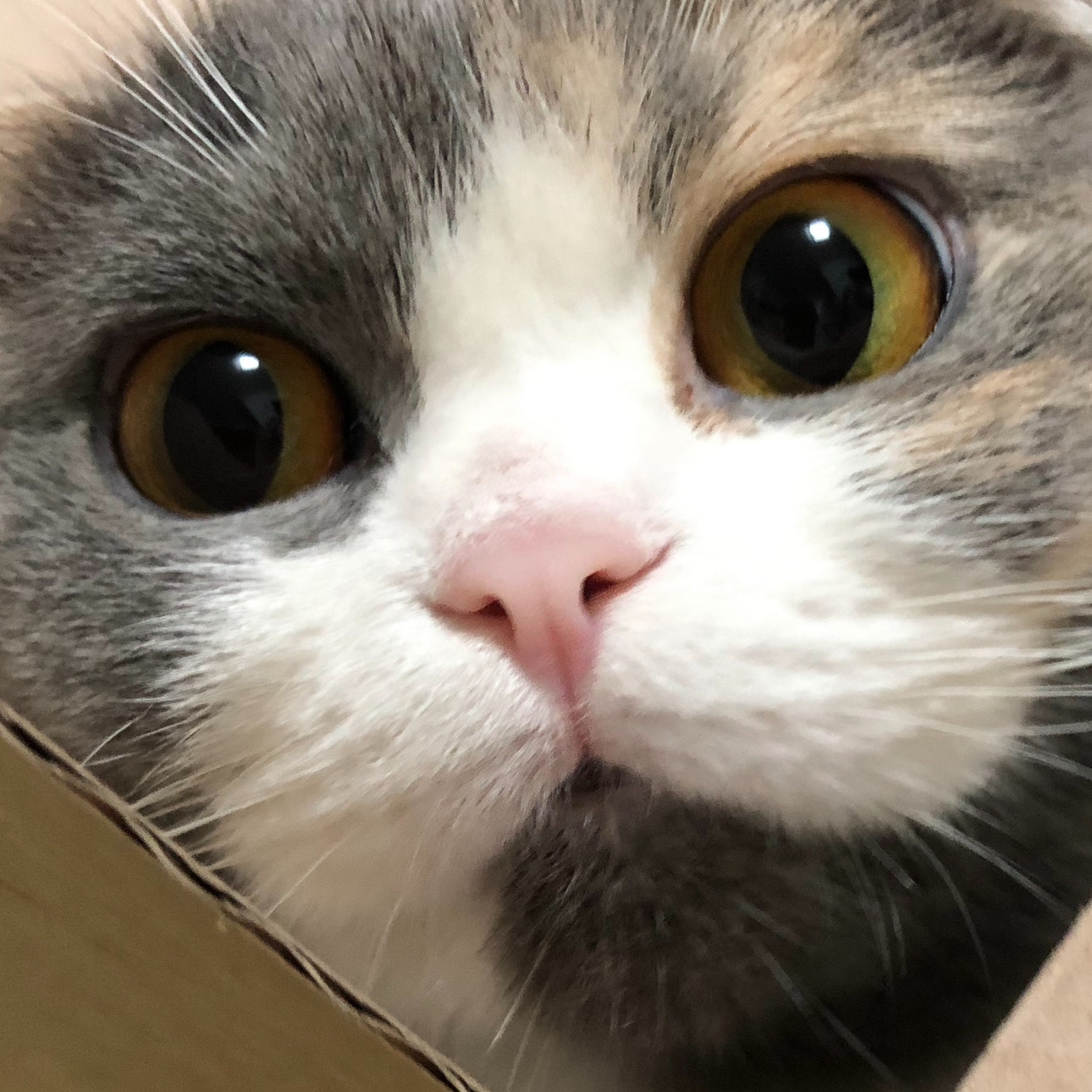 리뷰 사진 3