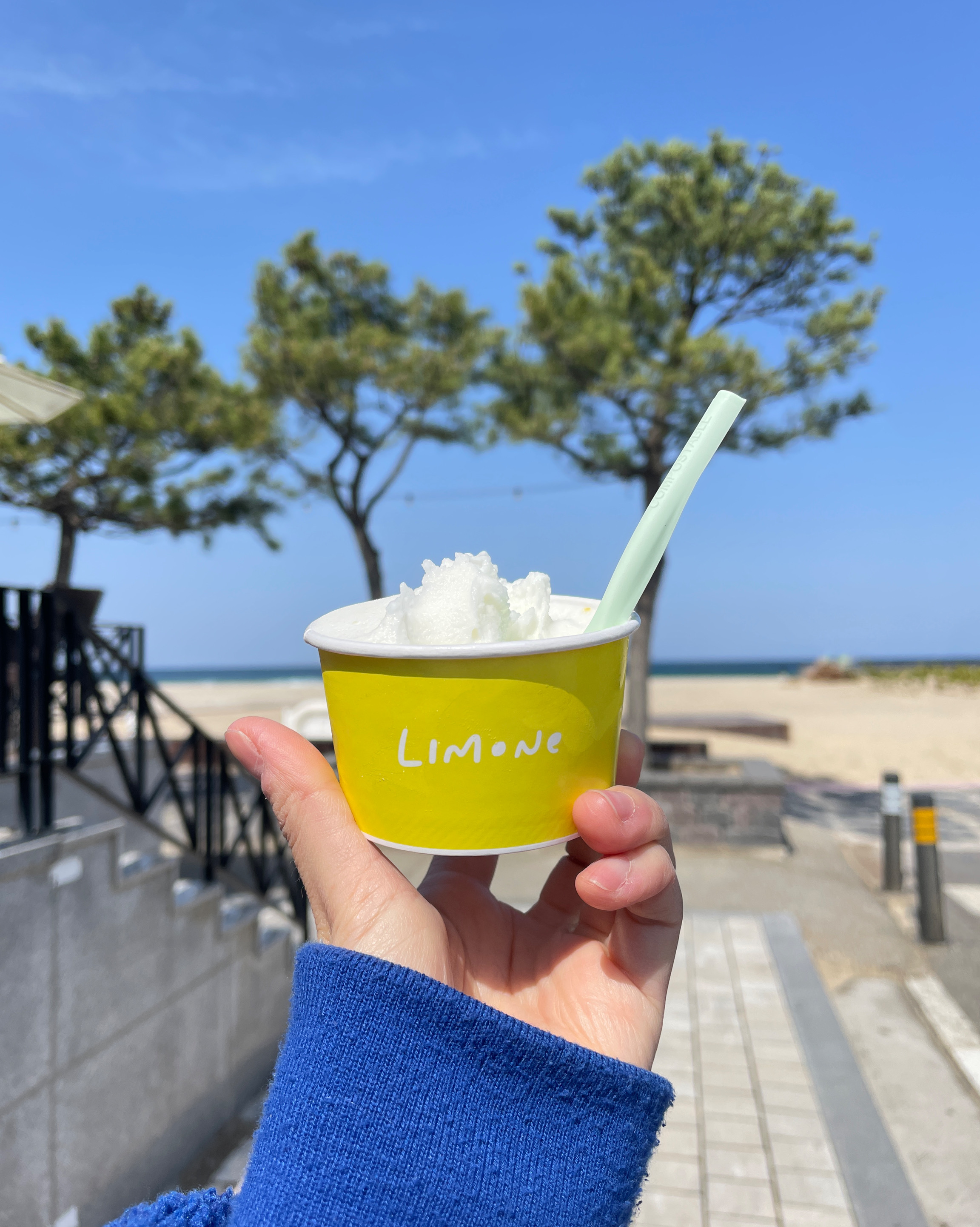 [동해 맛집 리모네] 직접 가본 로컬 리뷰