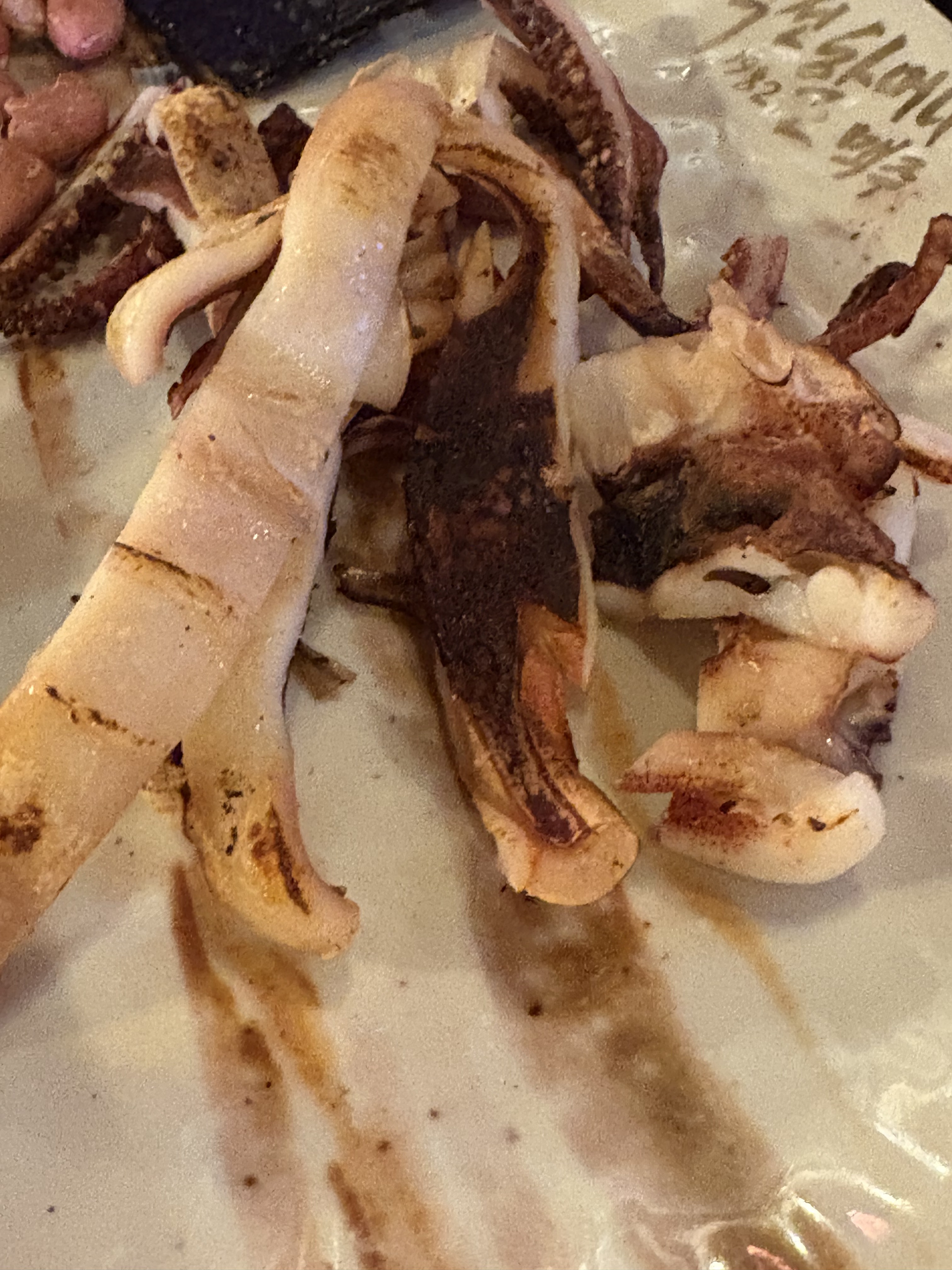 오리역 맛집 역전할머니맥주 분당오리역점 내돈내산 방문리뷰