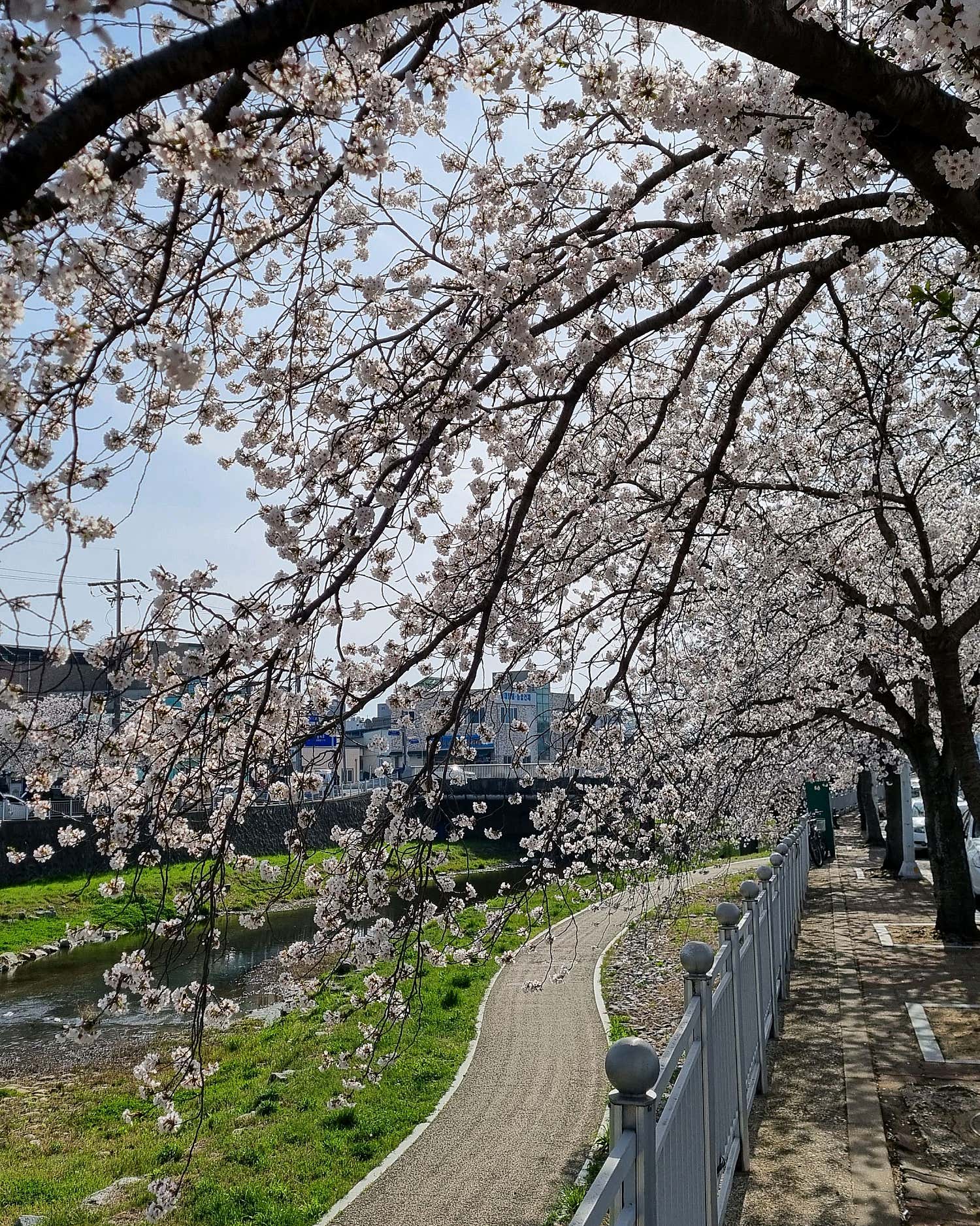 서울척척재활의학과의원 이미지