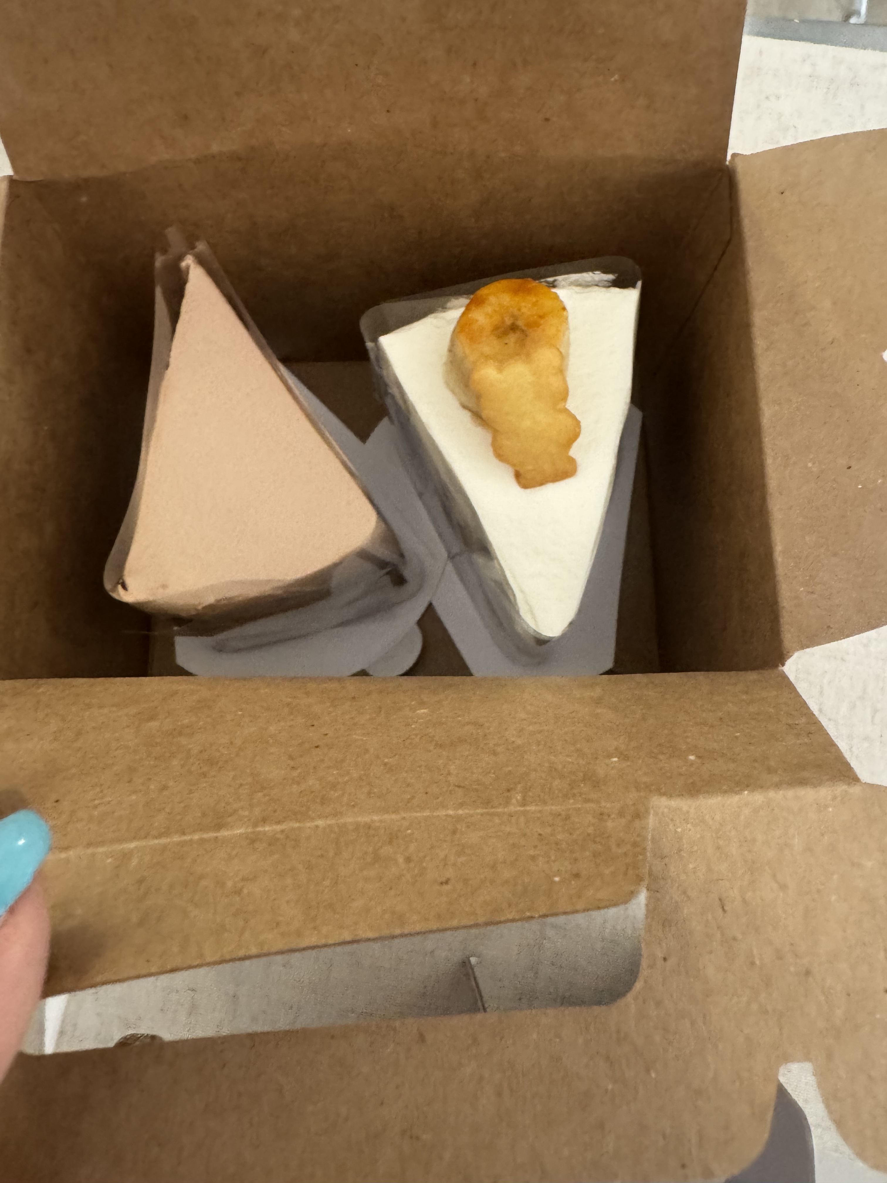 정자역 맛집 카타리나 내돈내산 찐리뷰