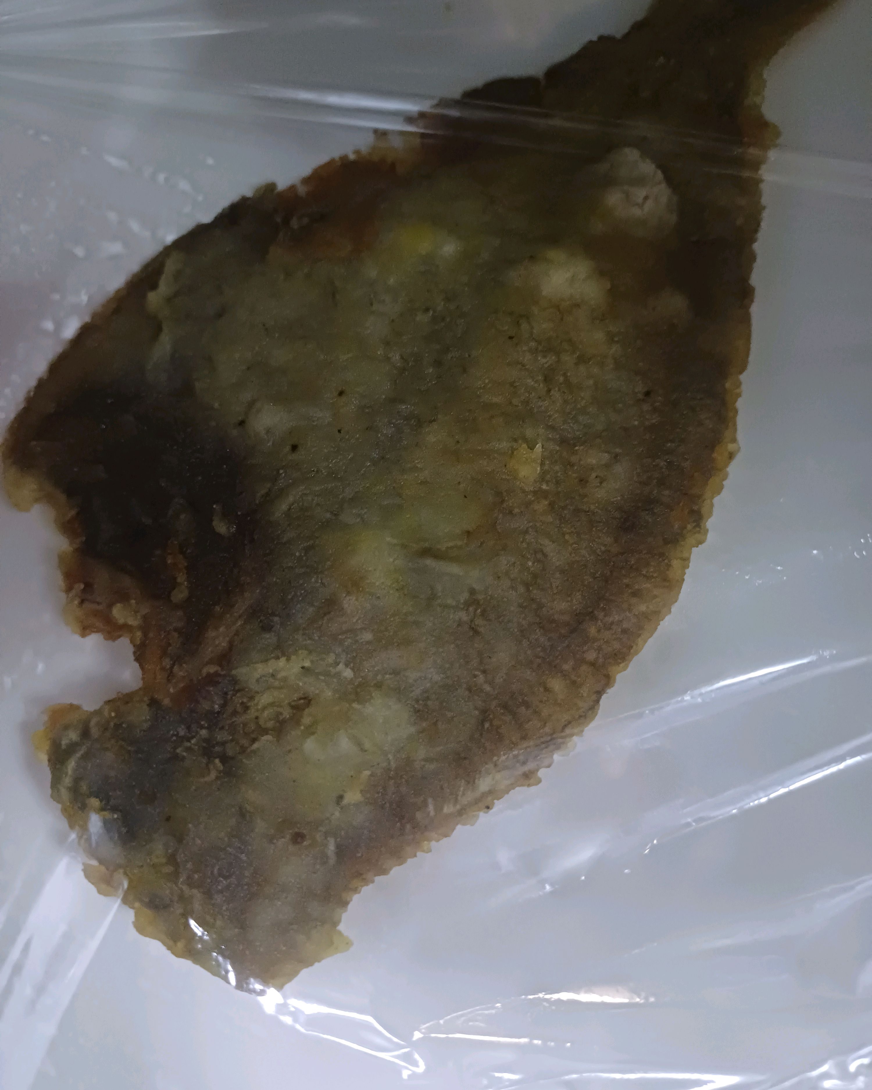 서현역 맛집 북창동순두부 분당서현점 내돈내산 최신리뷰