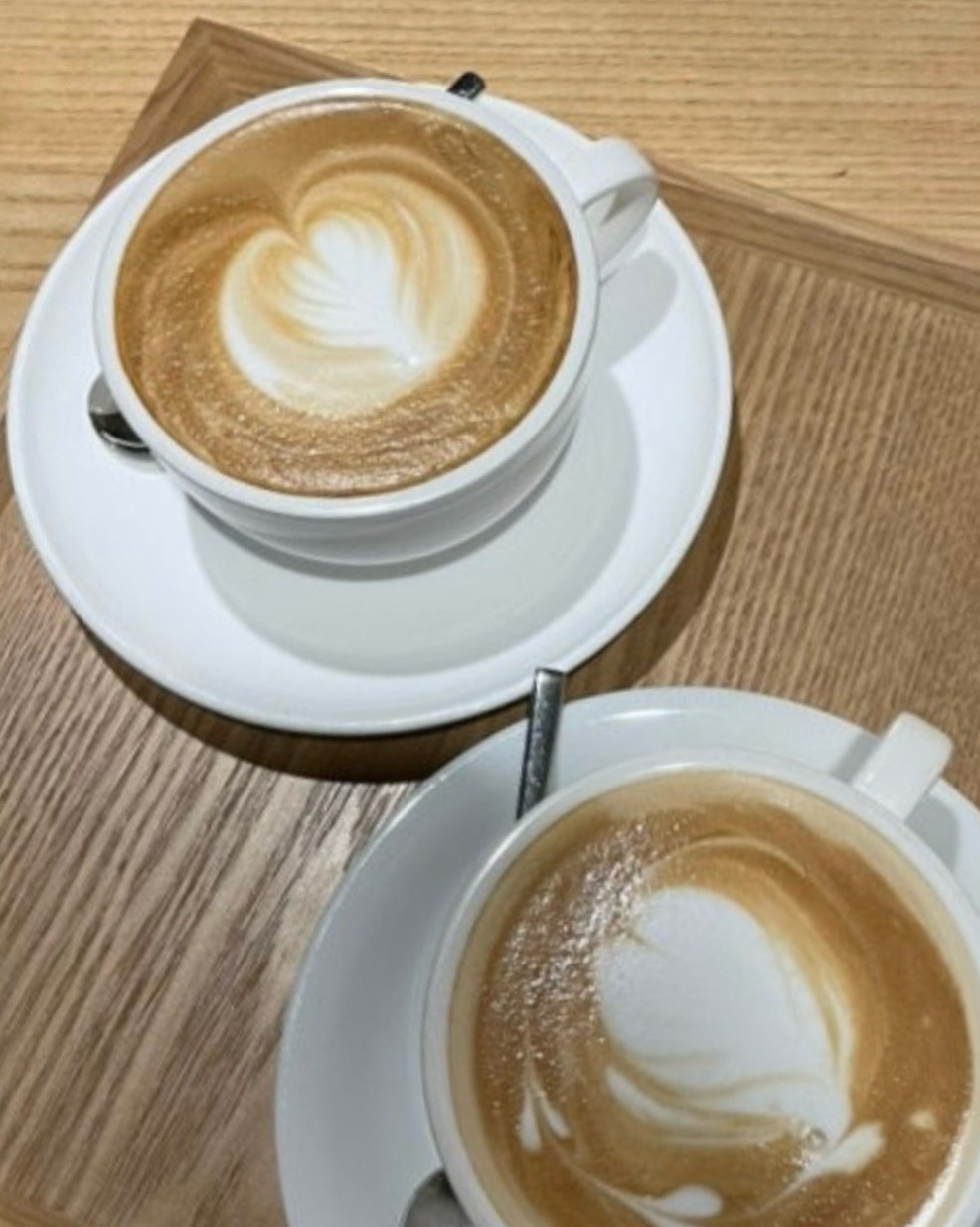정자역 맛집 cafe 1002 내돈내산 방문후기