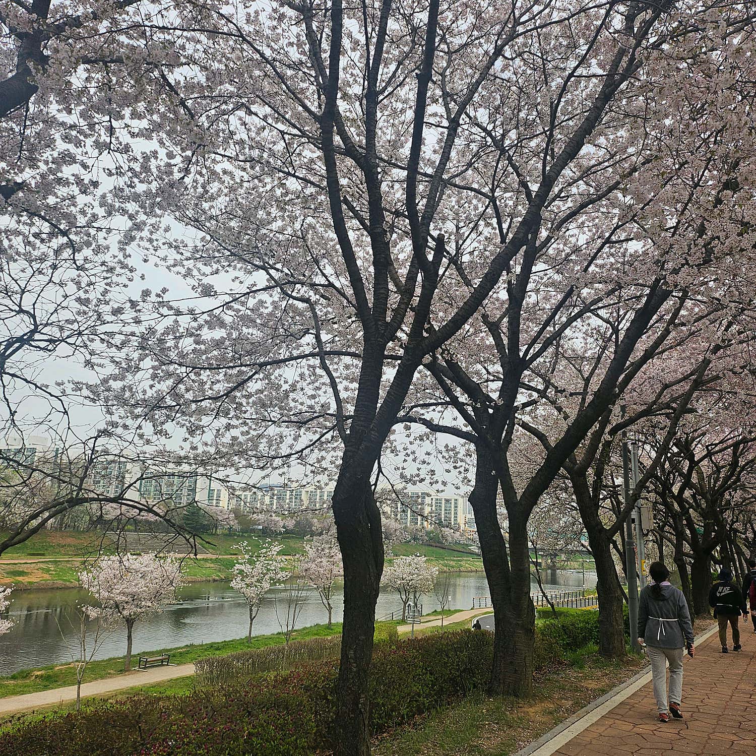 강피부과의원