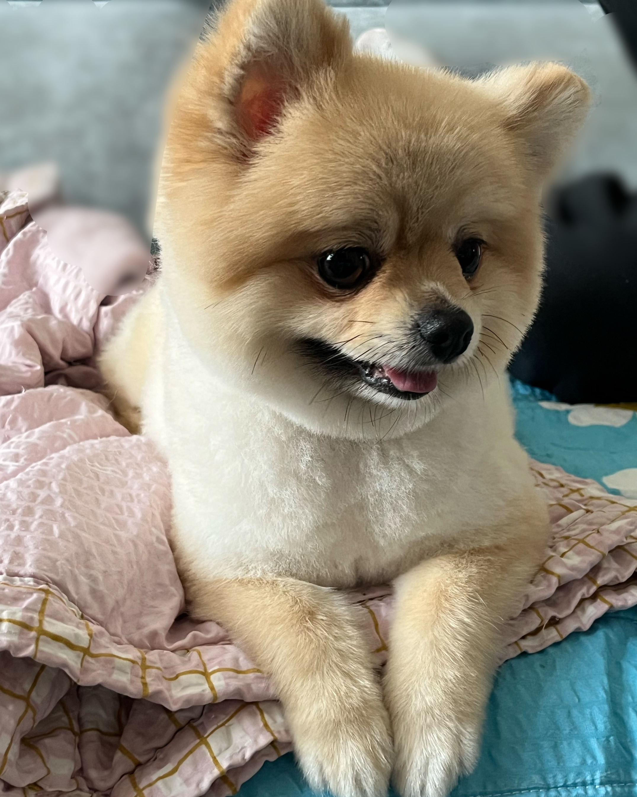 리뷰 사진 3