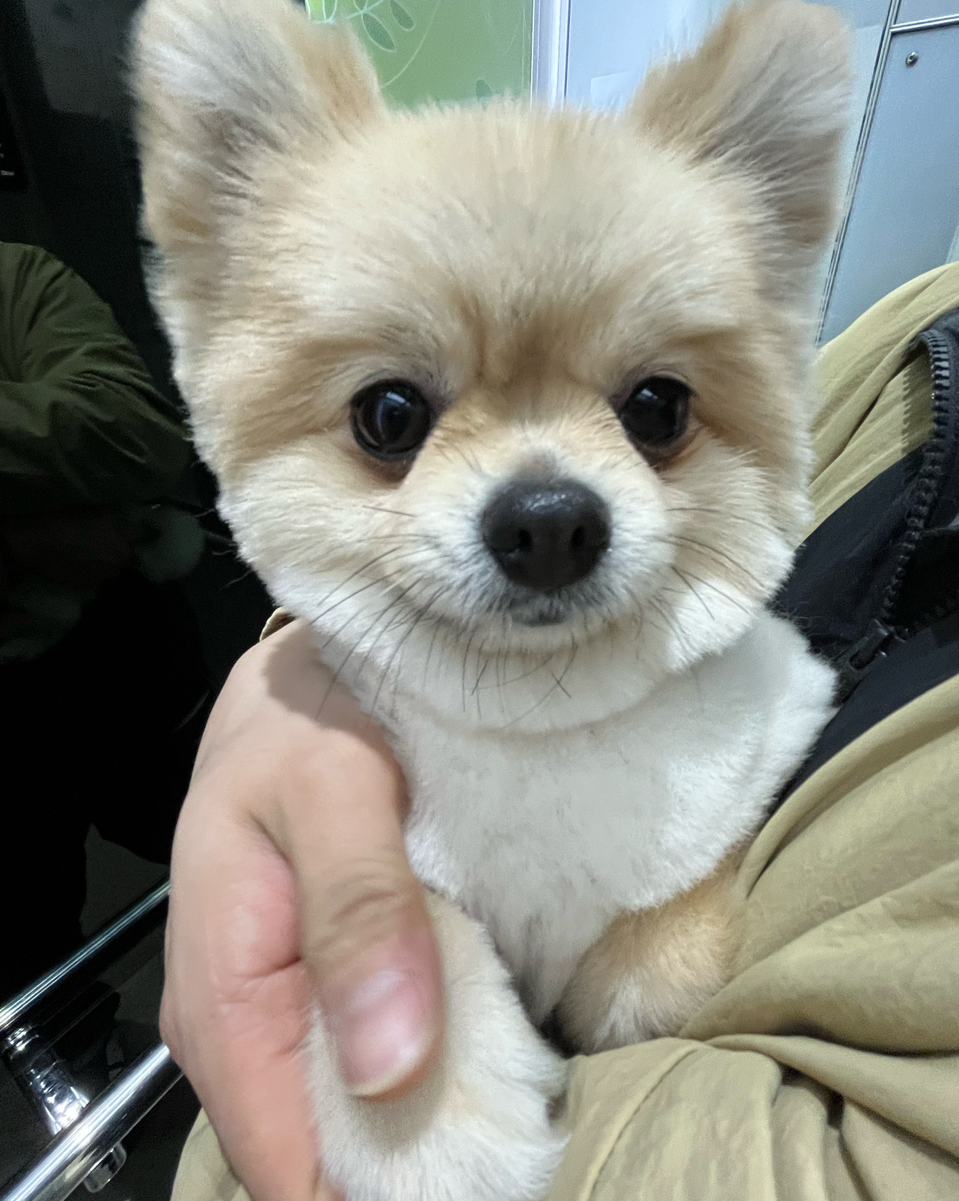 리뷰 사진 2