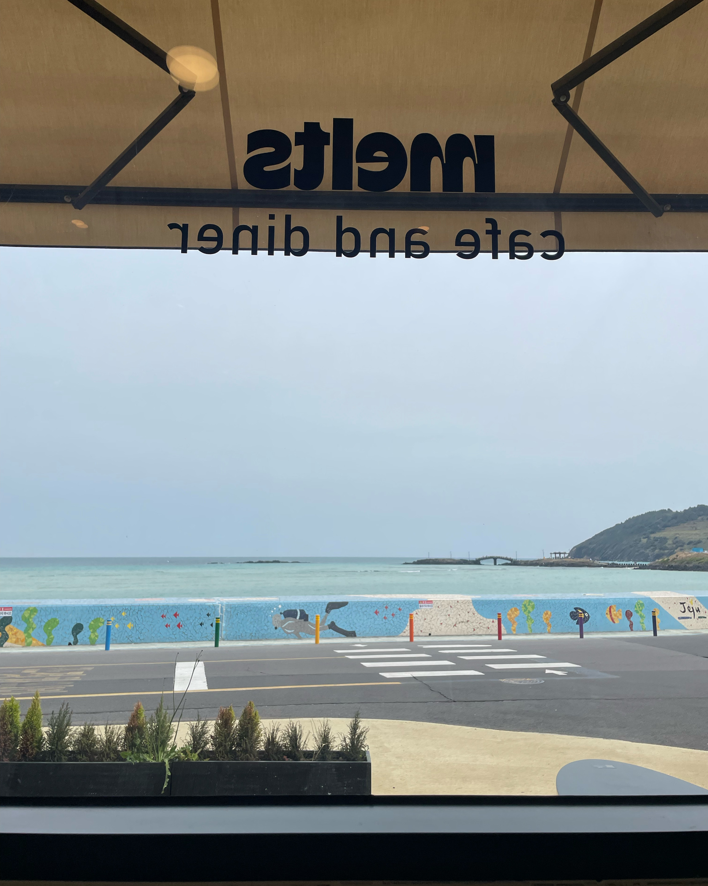 브런치 메뉴 다양해요! 맨날 함덕 맛집 흑돼지 해물 먹다 예쁜 카페에서 깔끔한 브런치 먹으