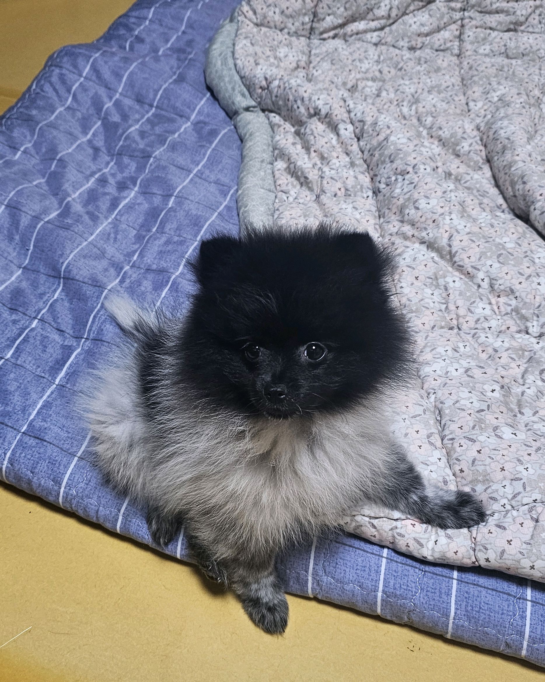 리뷰 사진 1