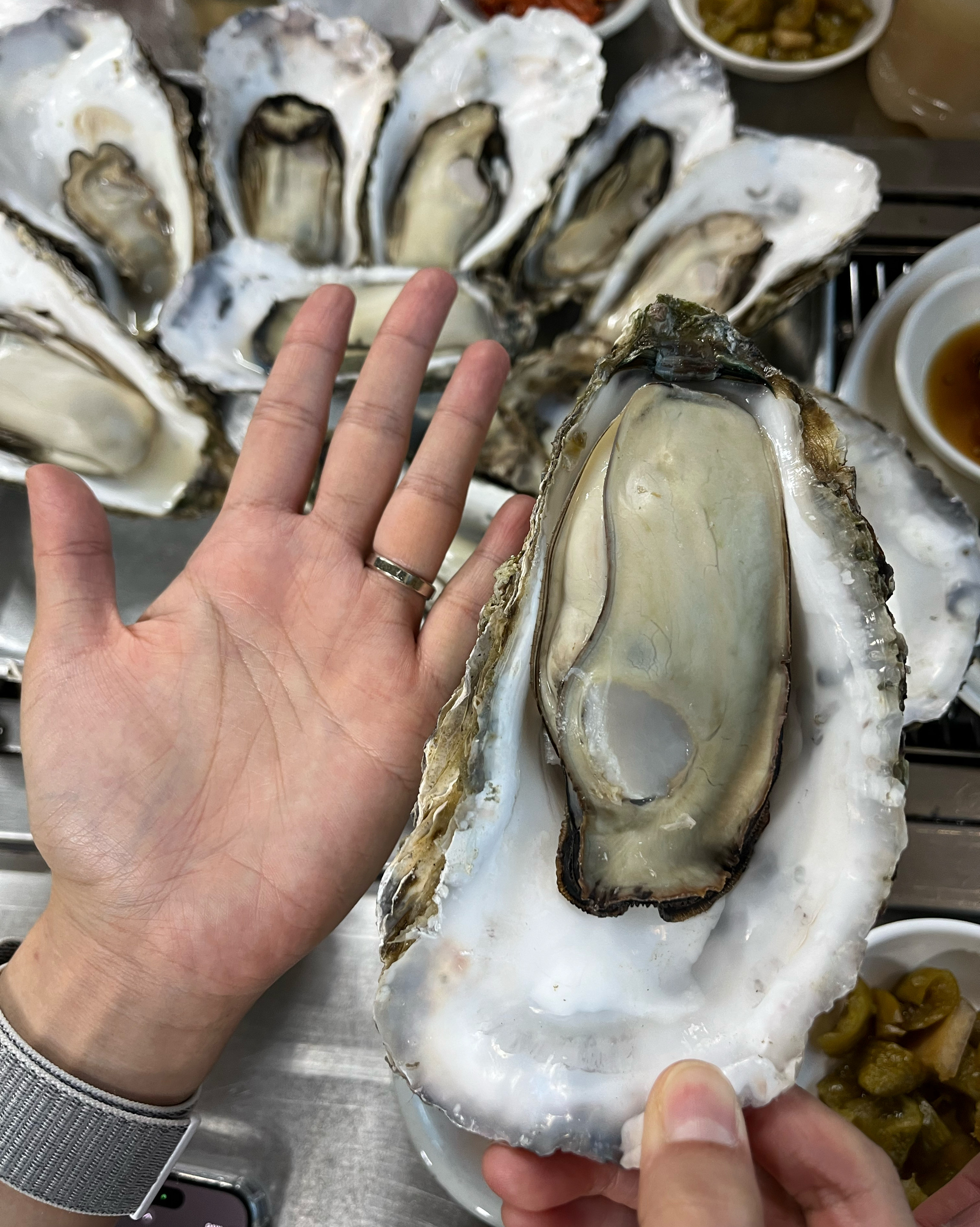 [하동 맛집 벚굴식당] 직접 가본 로컬 리뷰