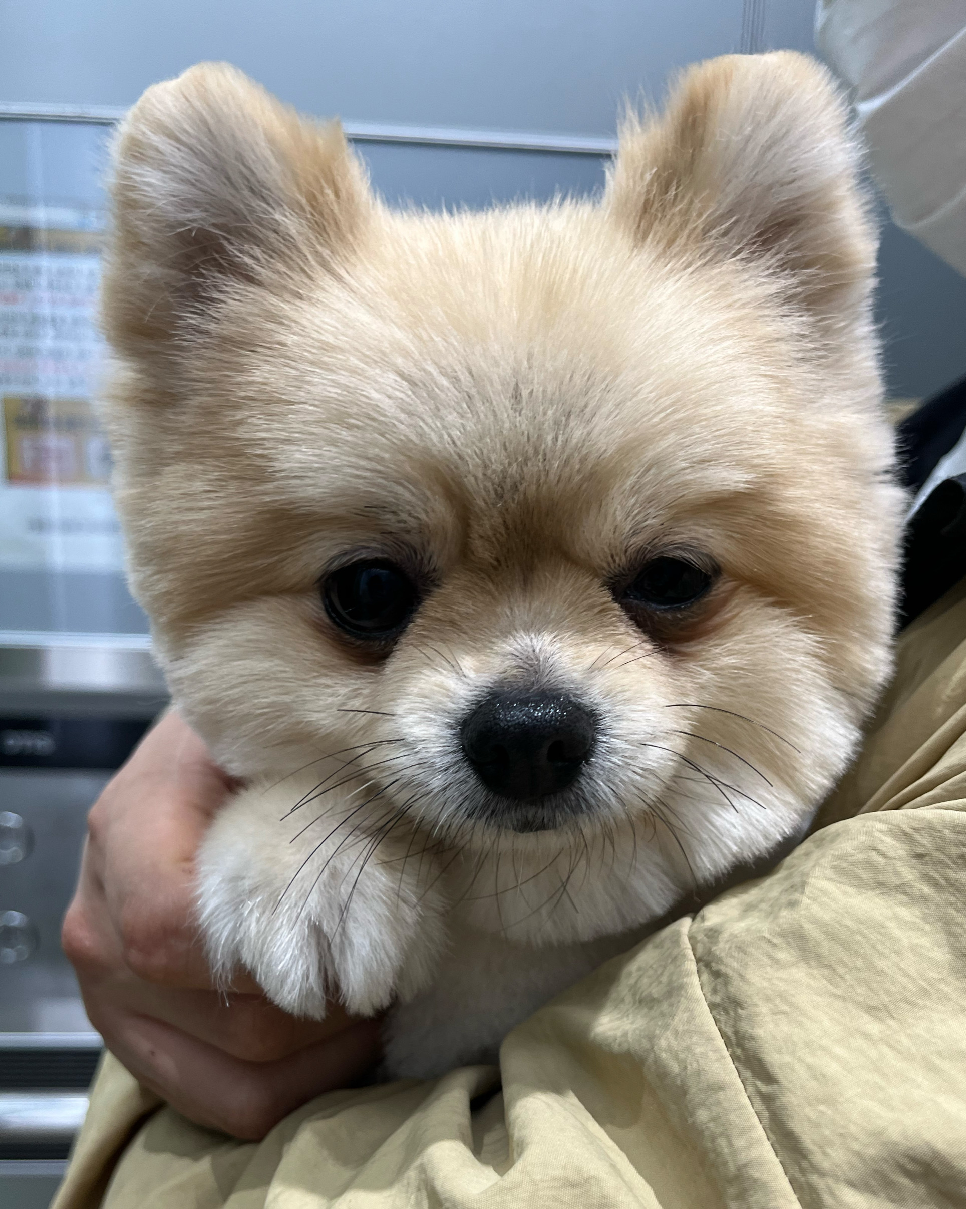 리뷰 사진 1