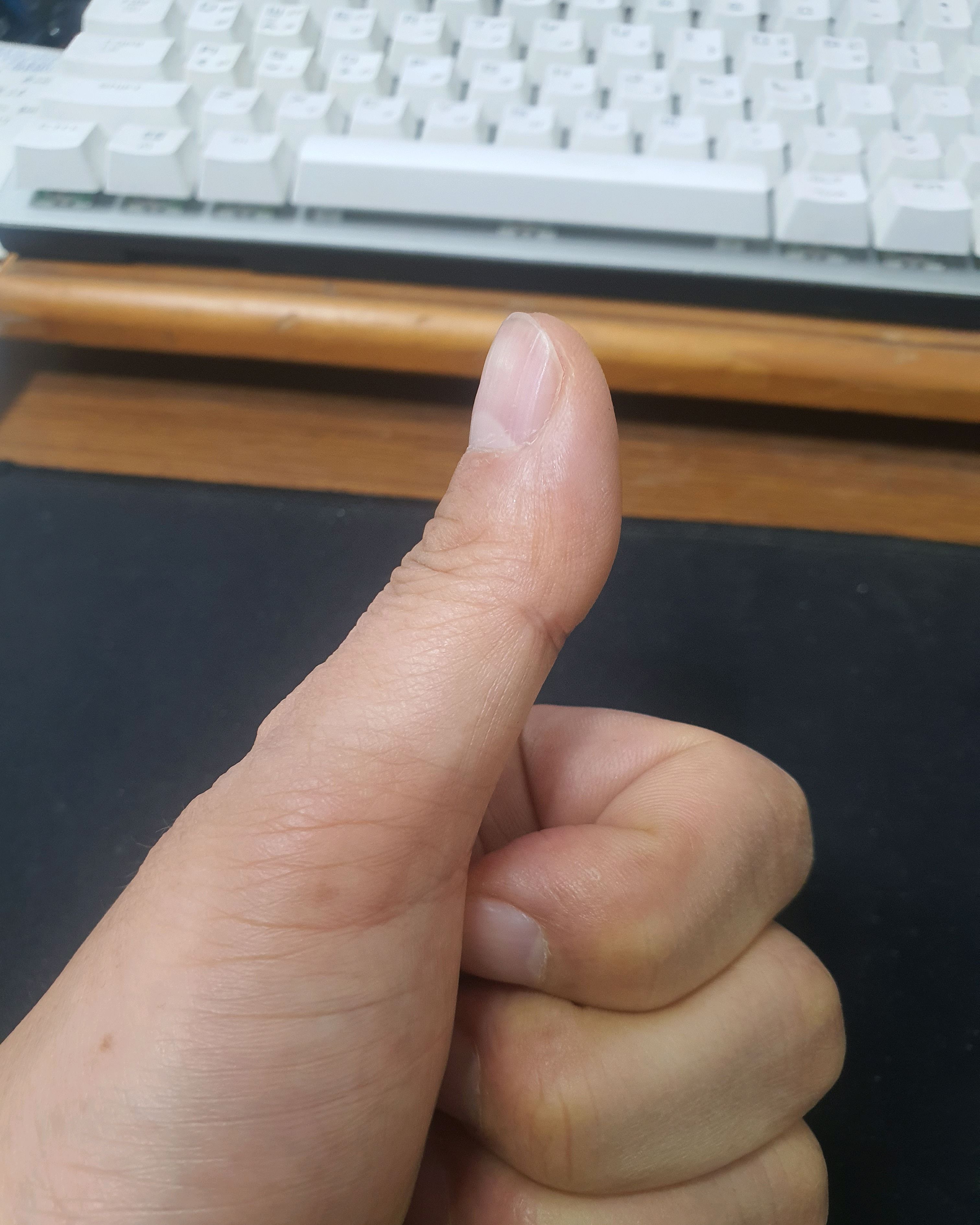인천 맛집 평양옥 29번째 리뷰 이미지