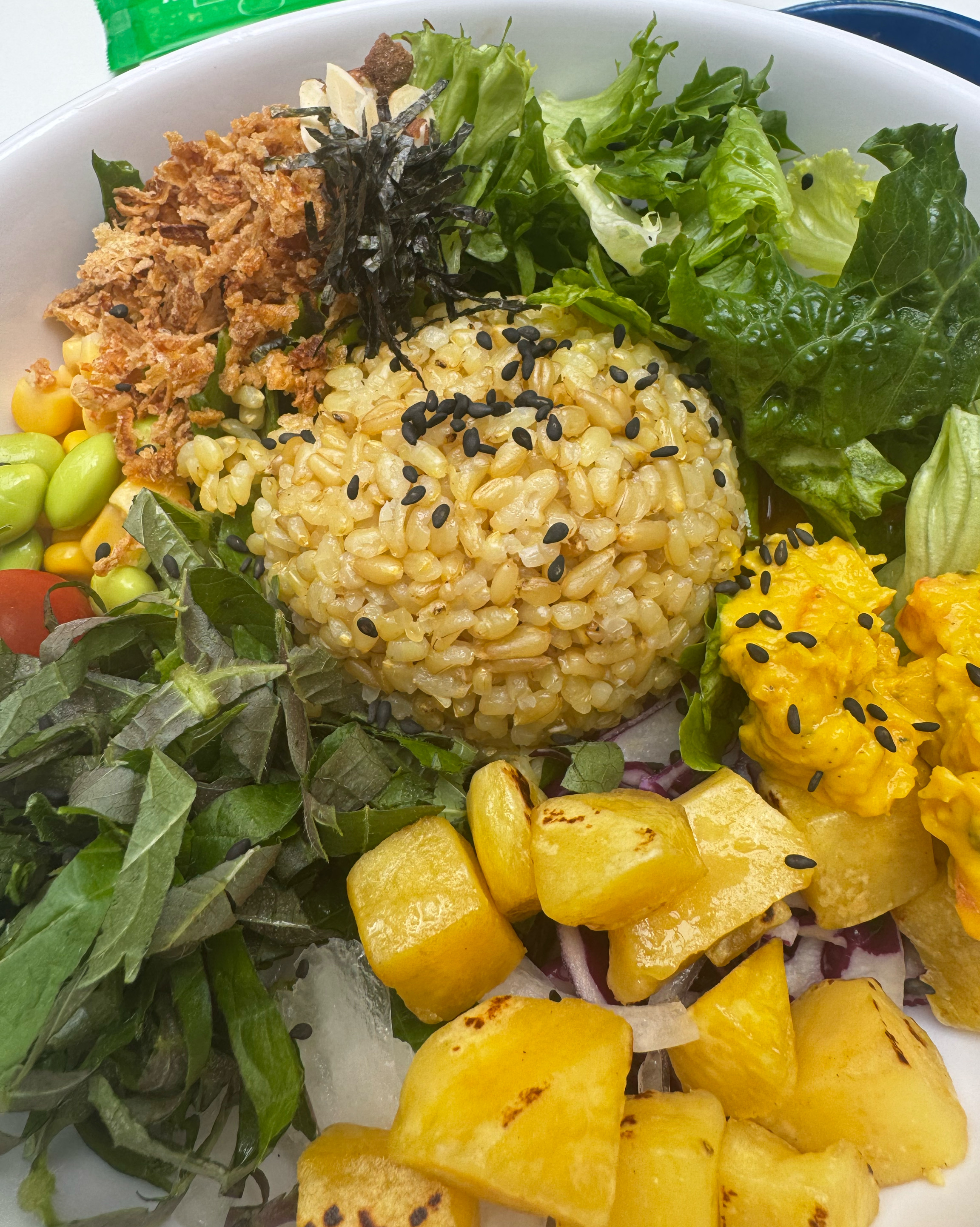 정자역 맛집 Poke all day 포케&샐러드 분당정자점 내돈내산 리얼후기