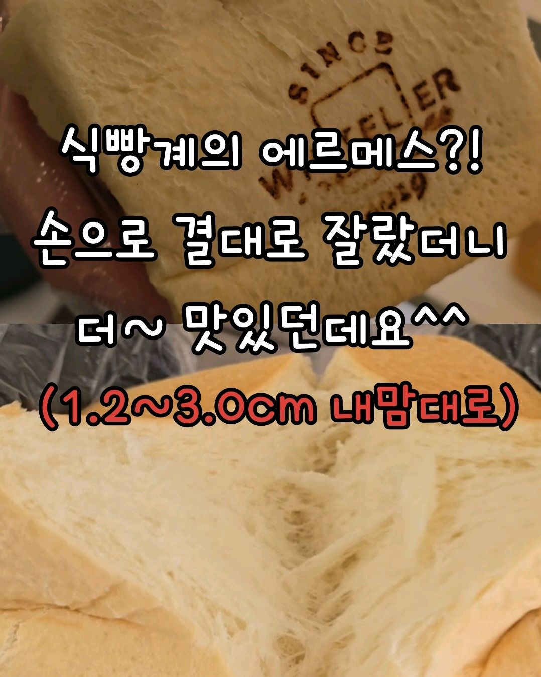 식빵 맛집으로 소문난곳이라 - 시흥 맛집 화이트리에 시흥 배곧점