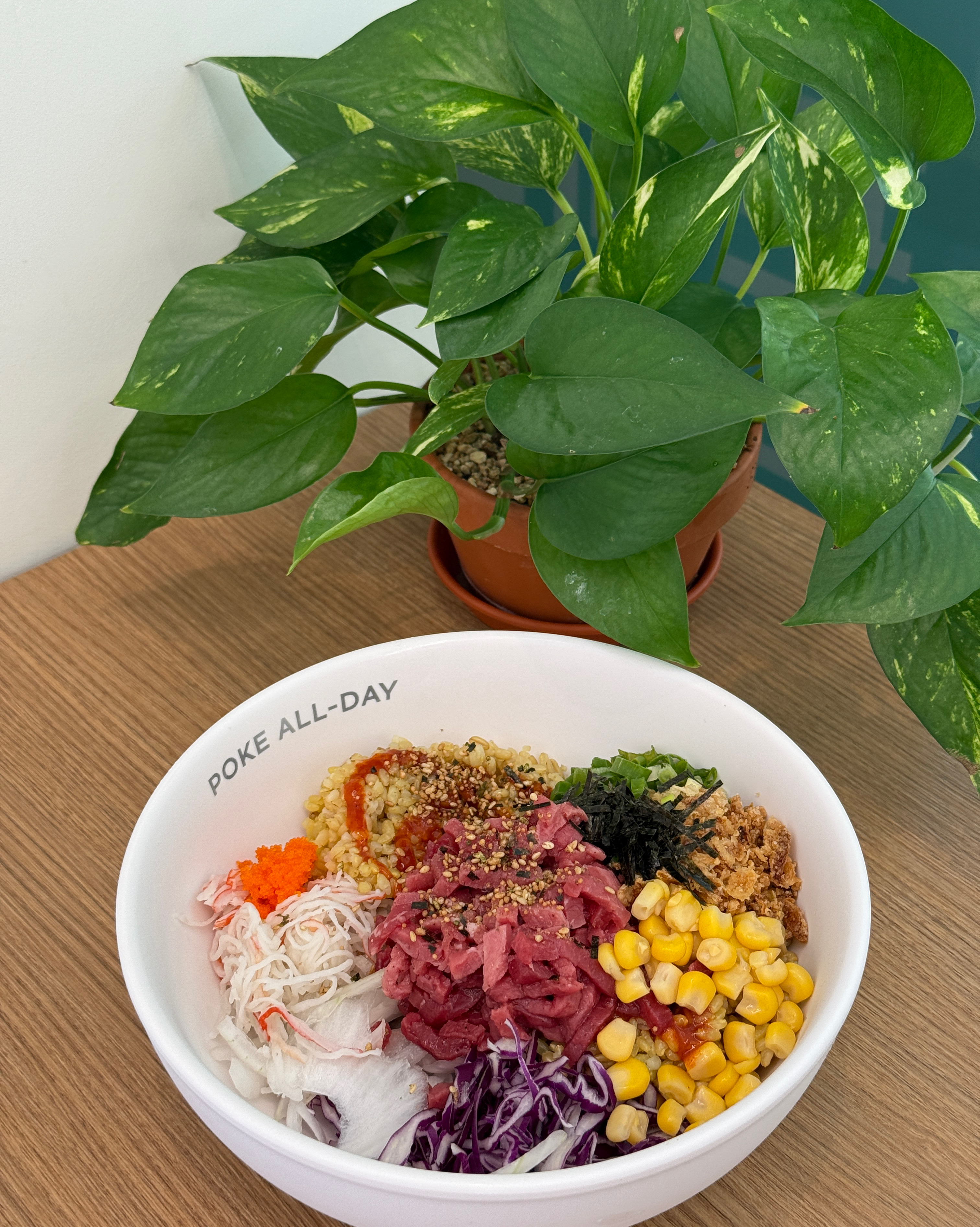 정자역 맛집 Poke all day 포케&샐러드 분당정자점 내돈내산 리얼후기