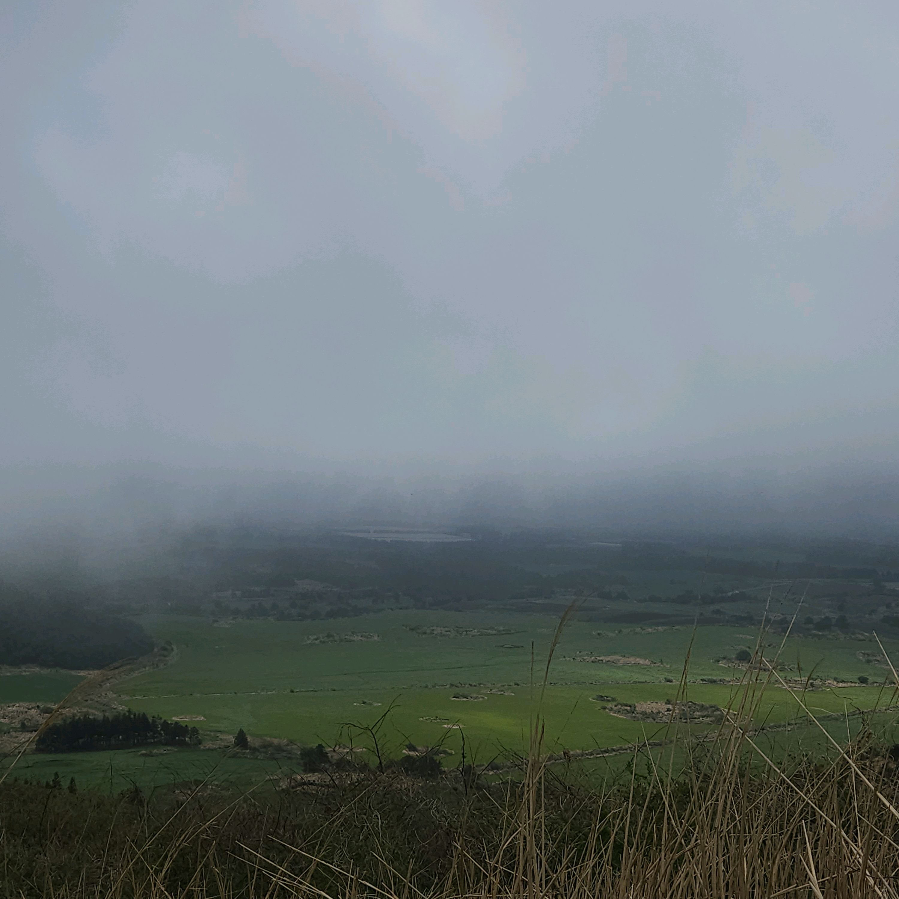제주 맛집 제주명품쑥보리빵 14번째 리뷰 이미지
