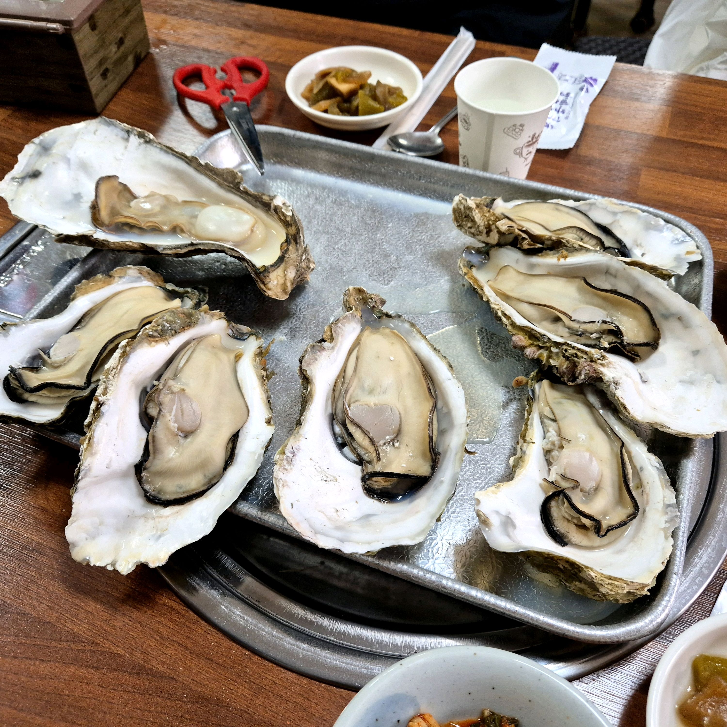 [하동 맛집 벚굴식당] 직접 가본 로컬 리뷰
