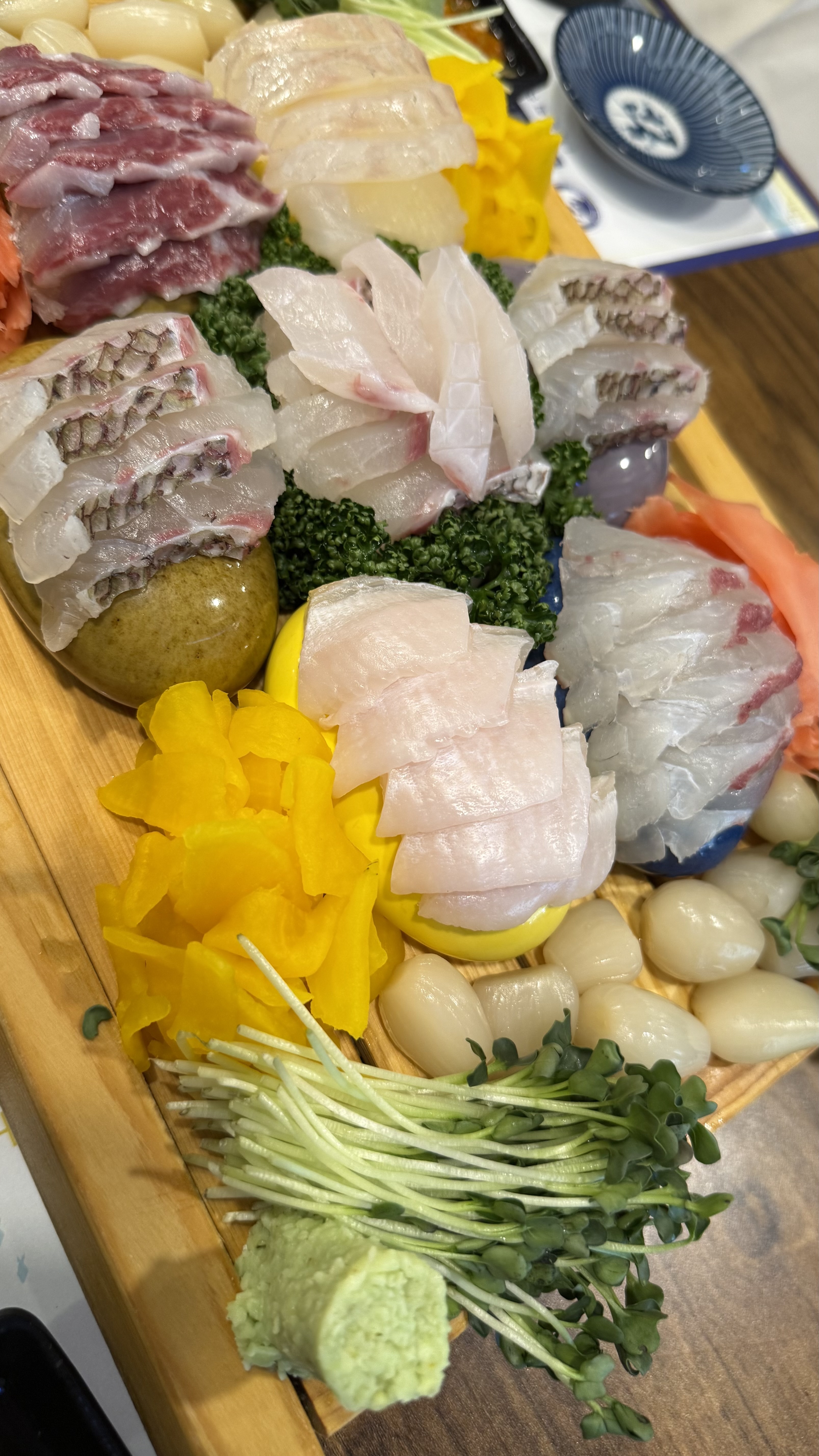 정자역 맛집 물고기자리 정자점 내돈내산 방문리뷰