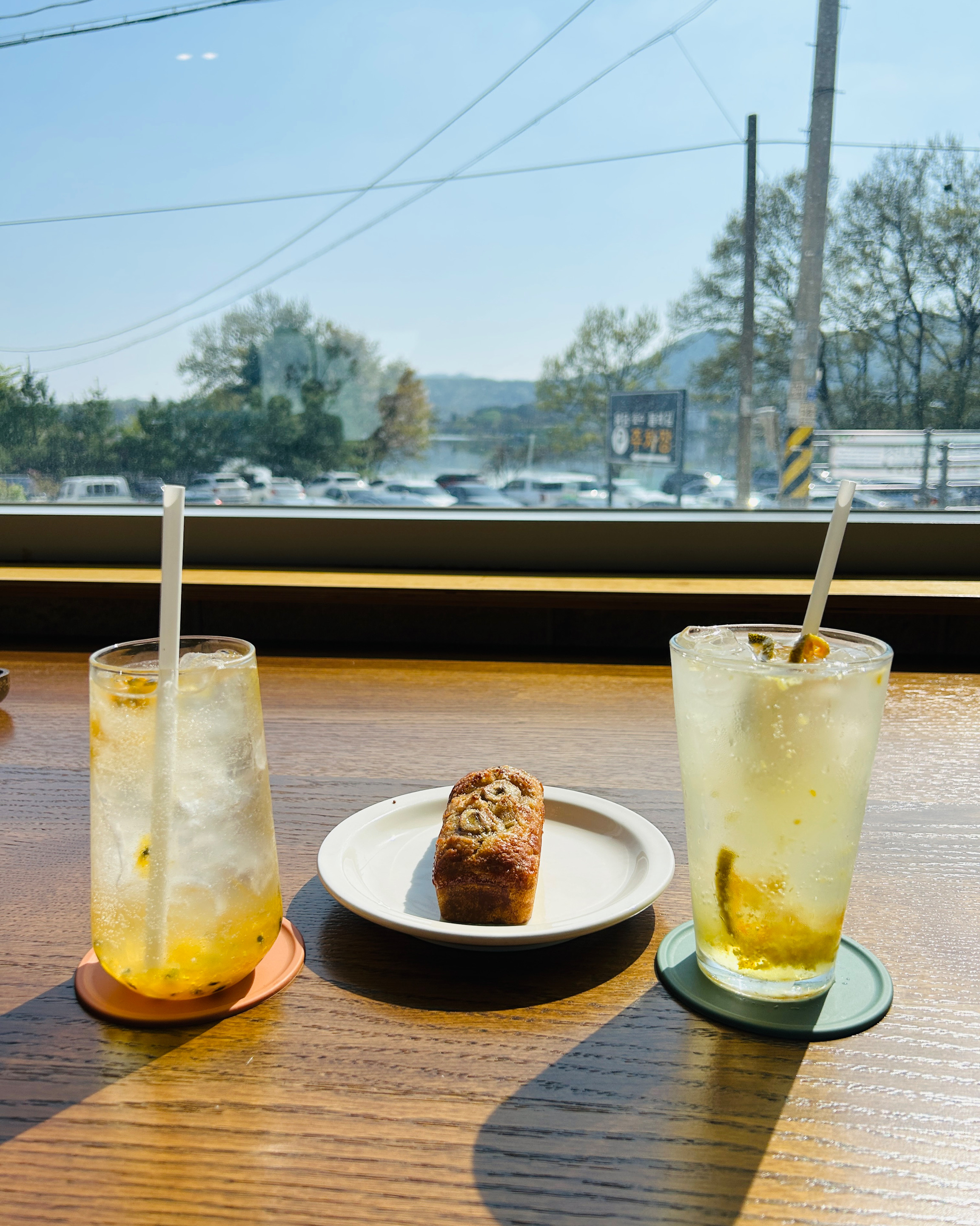 [용인 맛집 카페 담스 용인본점] 직접 가본 로컬 리뷰