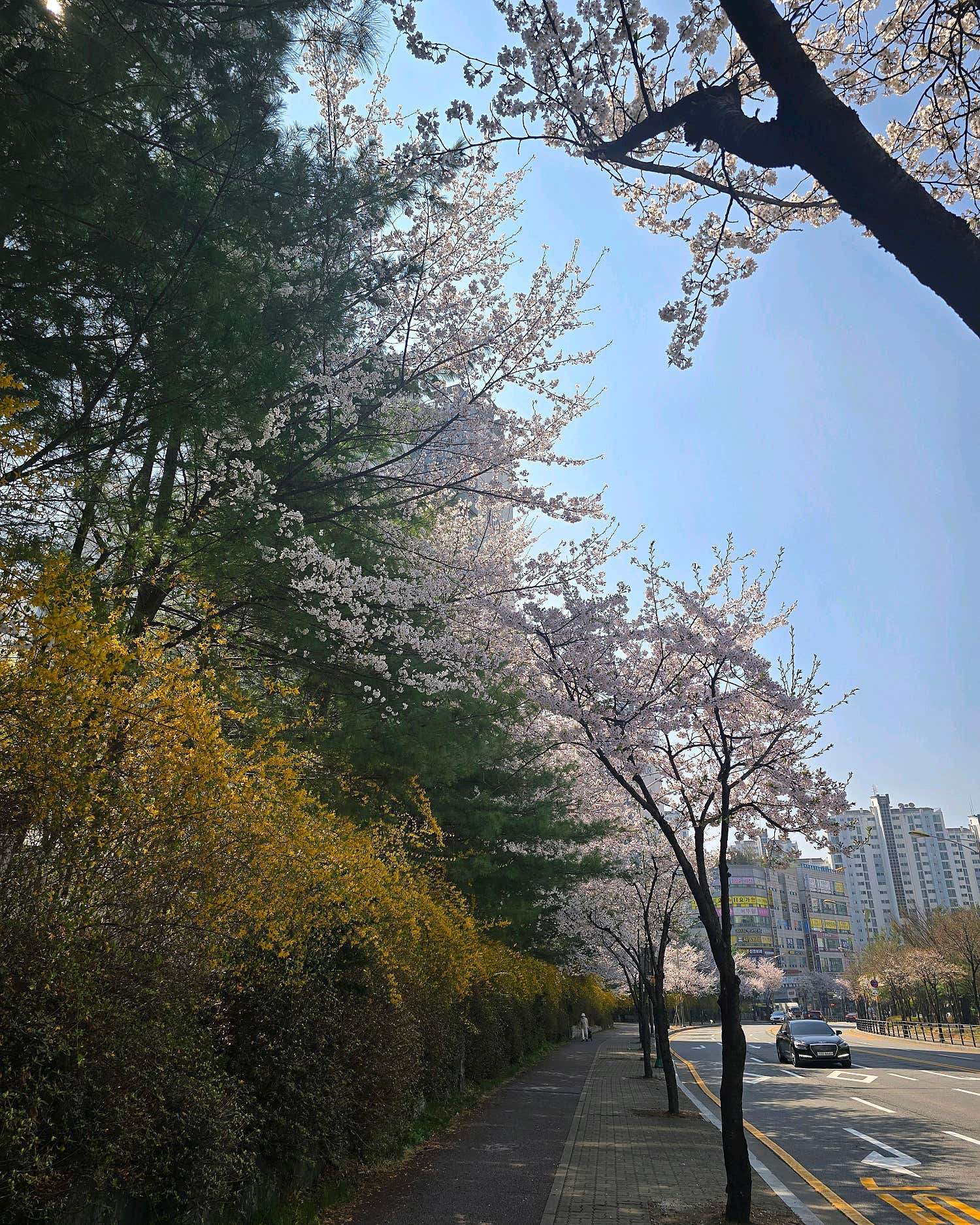 경희다날한의원