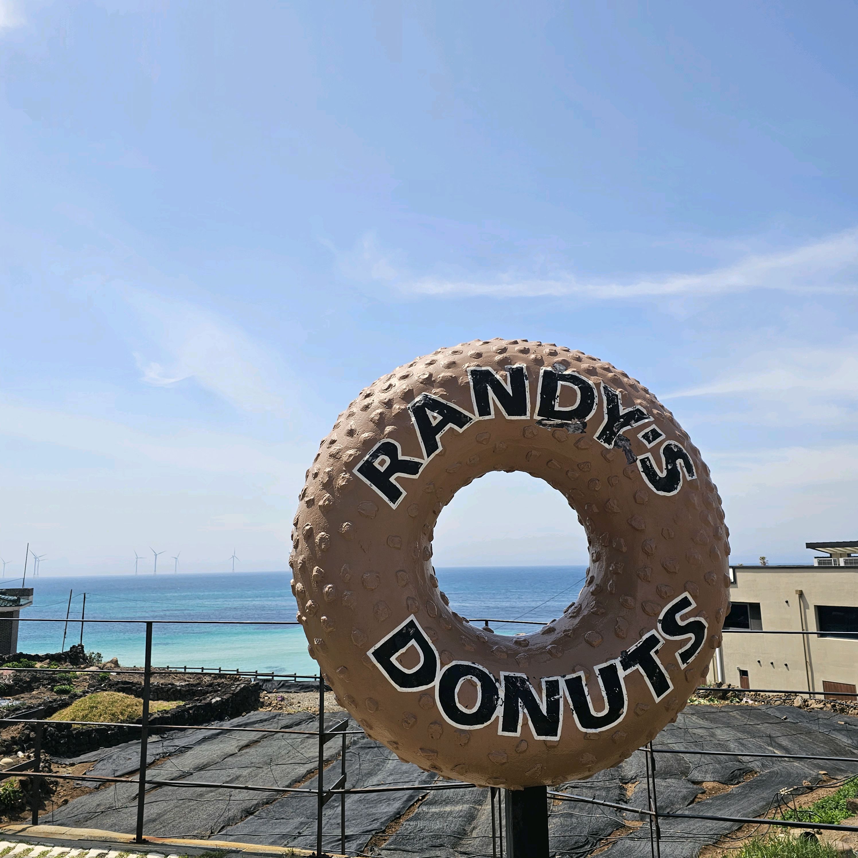 맛있는 도넛에 커피! 제주 올 때마다 찾는 곳입니다! - 제주 맛집 랜디스도넛 애월점