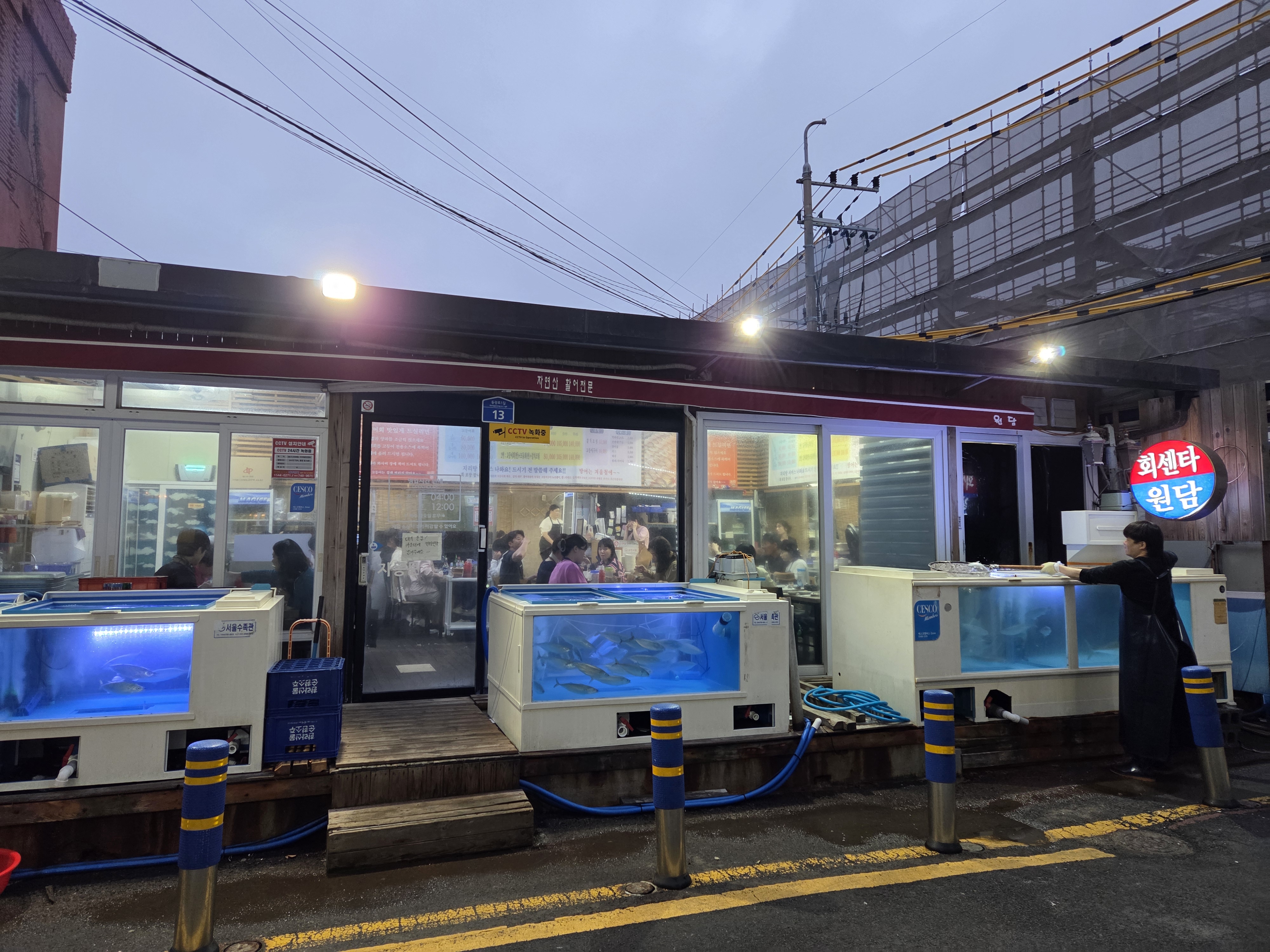 고등어회 미쳤어요🥹 - 제주 맛집 원담 제주본점