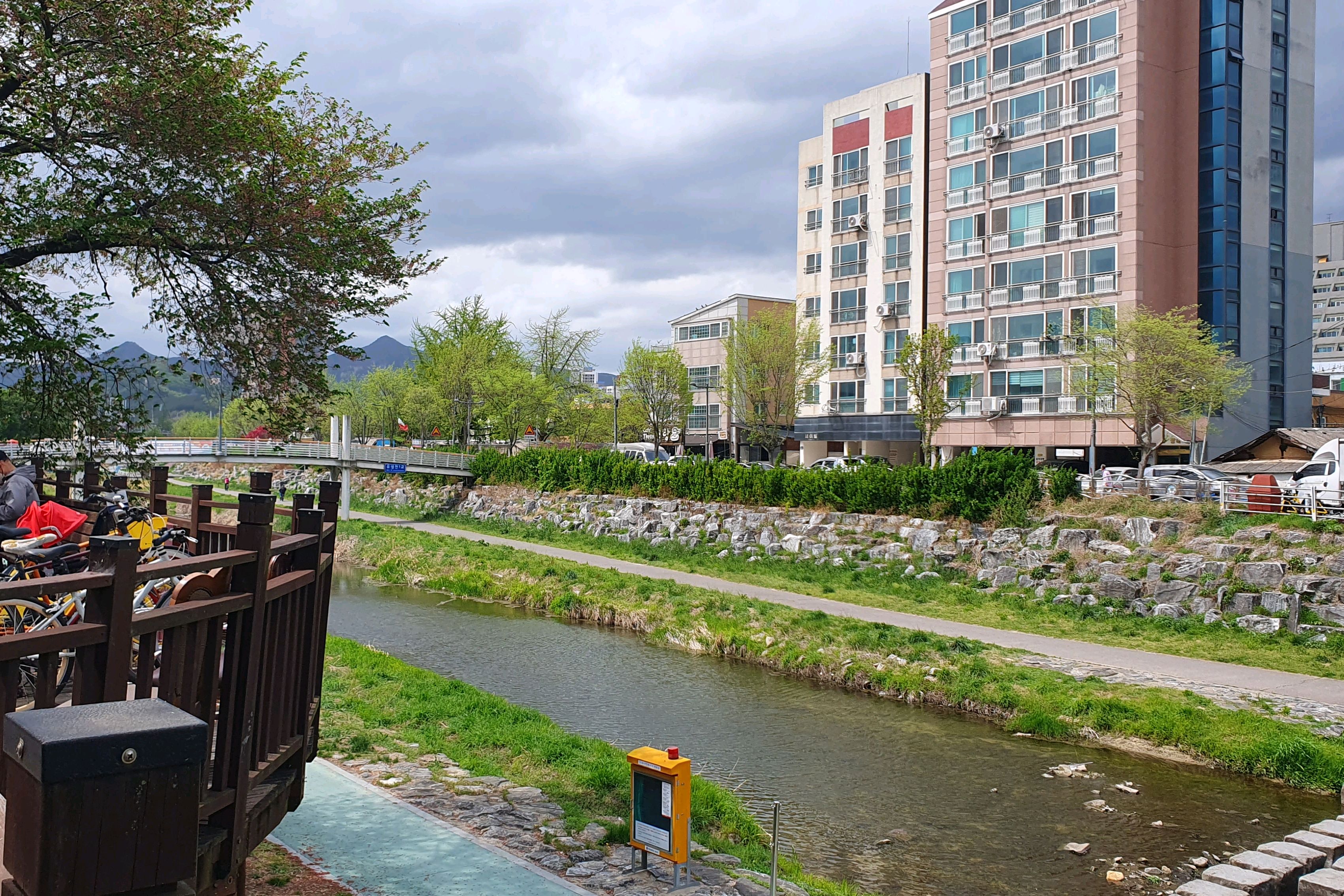 자차이용하시는 분들은 진짜 빡세네요 ㅜㅜ - 대전 맛집 낭만과순정