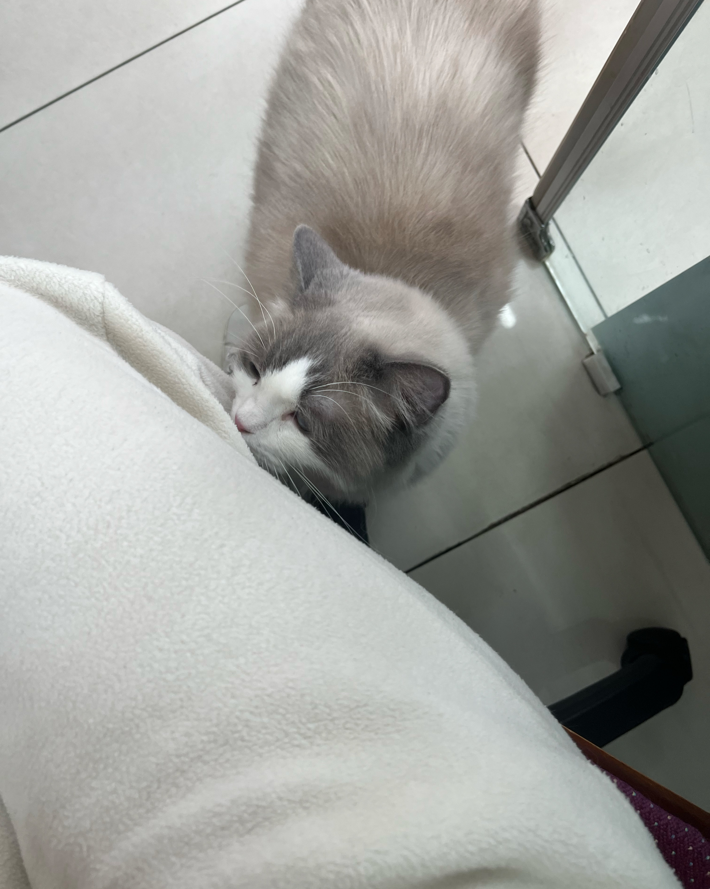 리뷰 사진 2