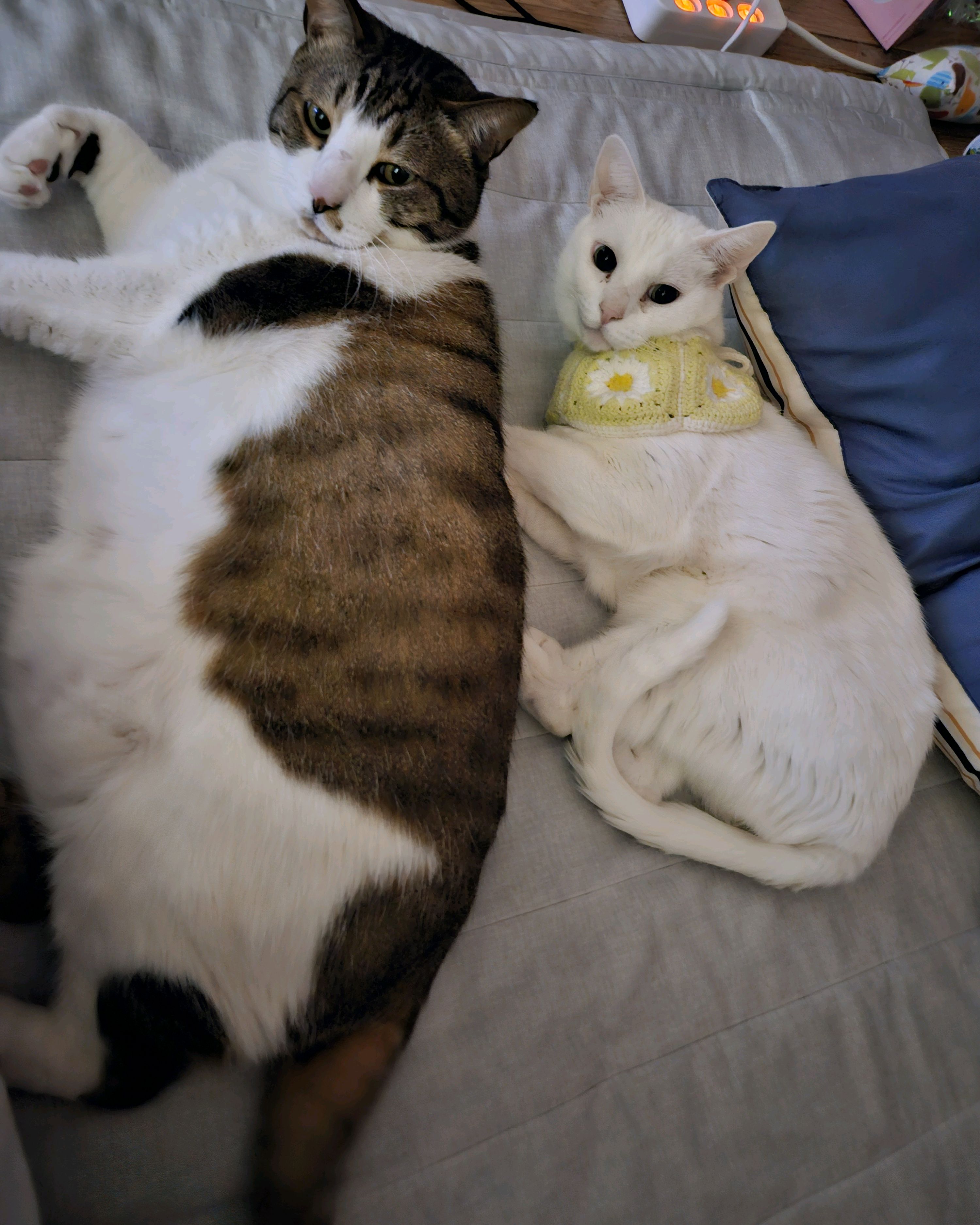 리뷰 사진 2