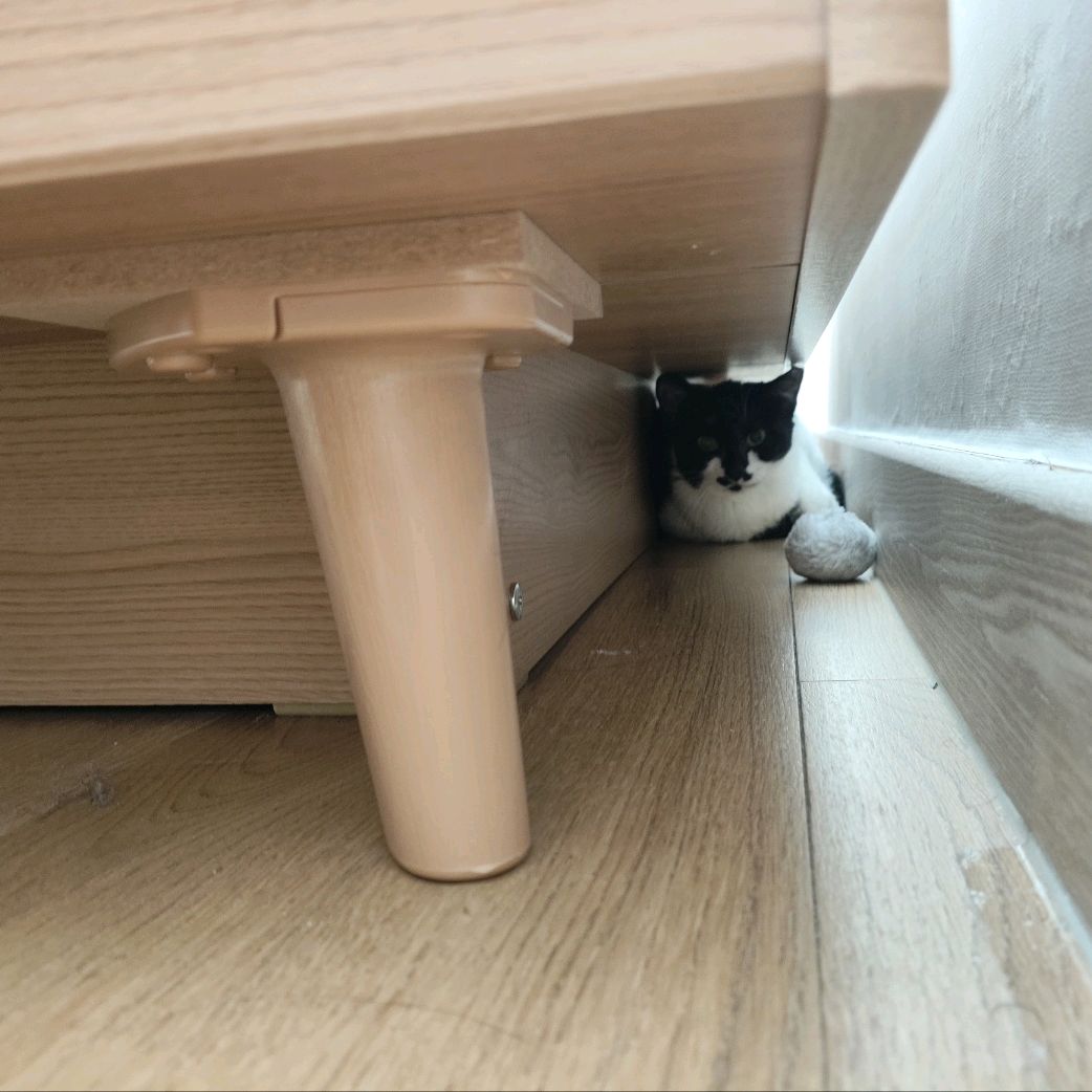 리뷰 사진 2