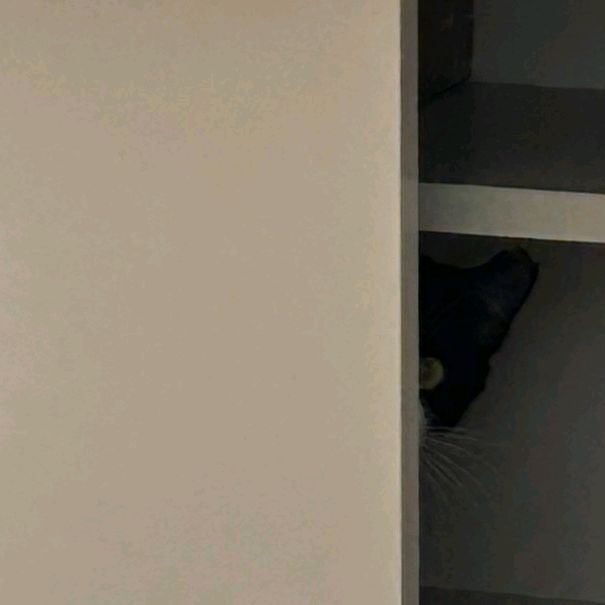 리뷰 사진 1