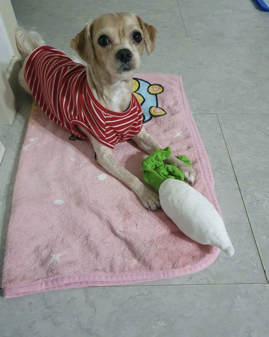리뷰 사진 2