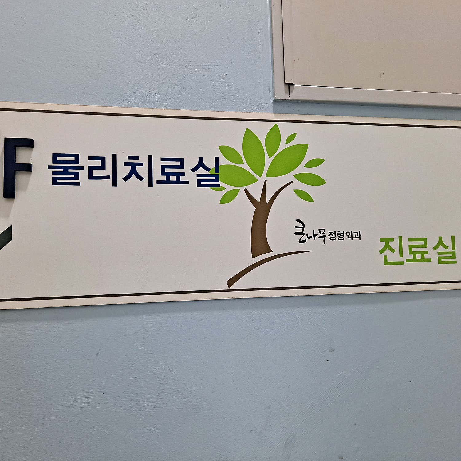 큰나무정형외과의원