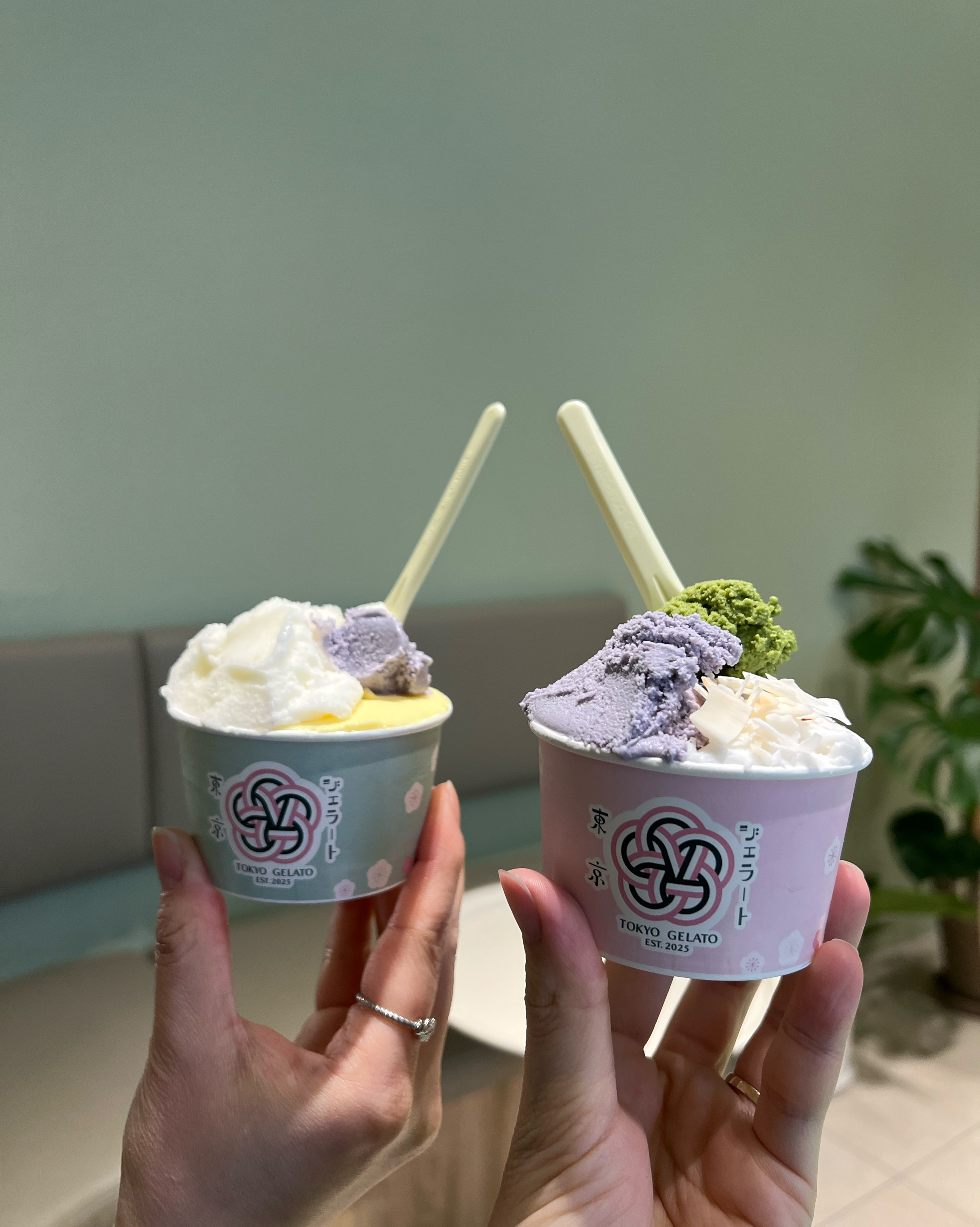 정자역 맛집 도쿄젤라또 내돈내산 방문리뷰