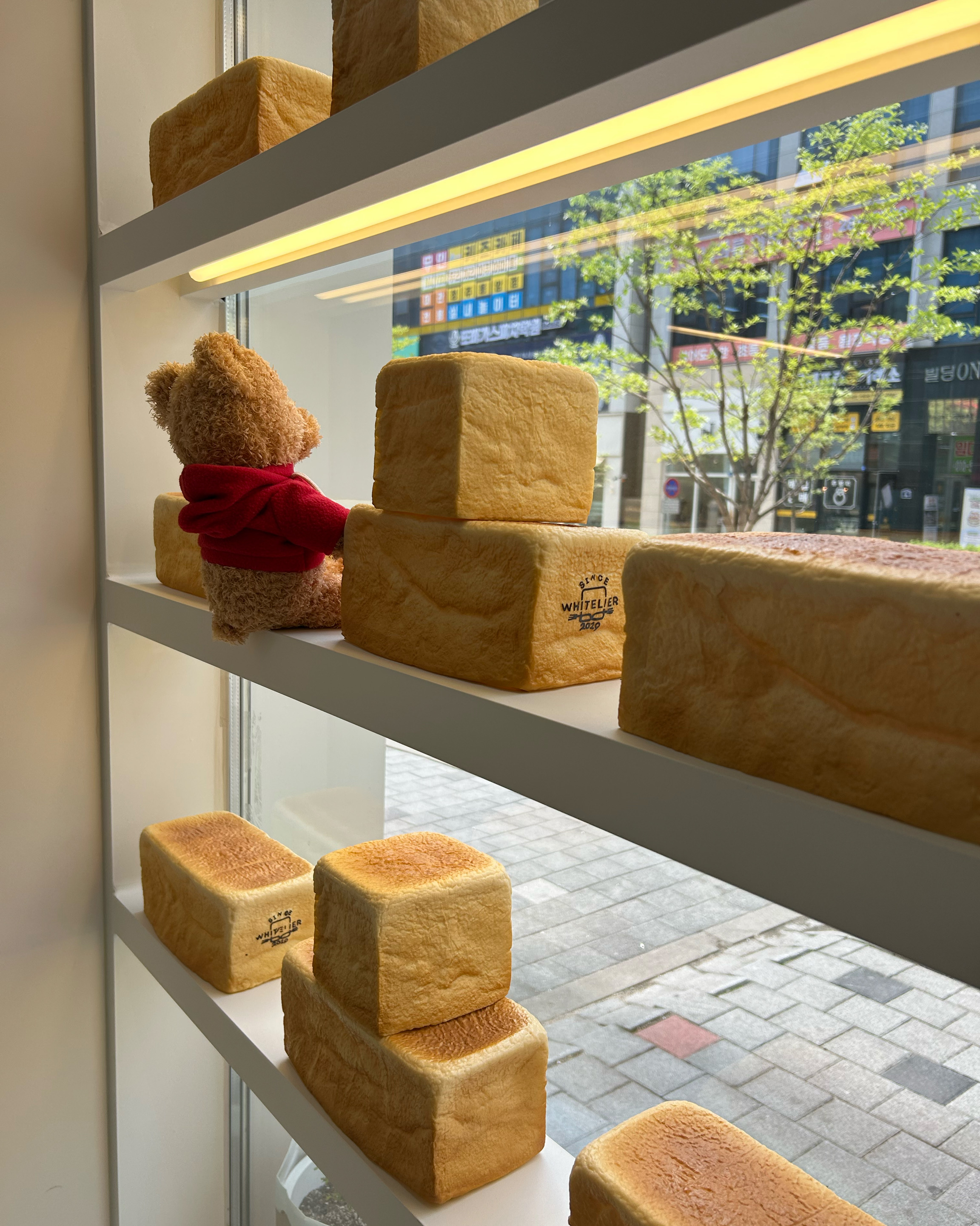 빵 선물 받아서 먹어보고 방문해보았어요. - 동남지구 맛집 화이트리에 동남지구점