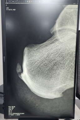 북삼척편한연합의원
