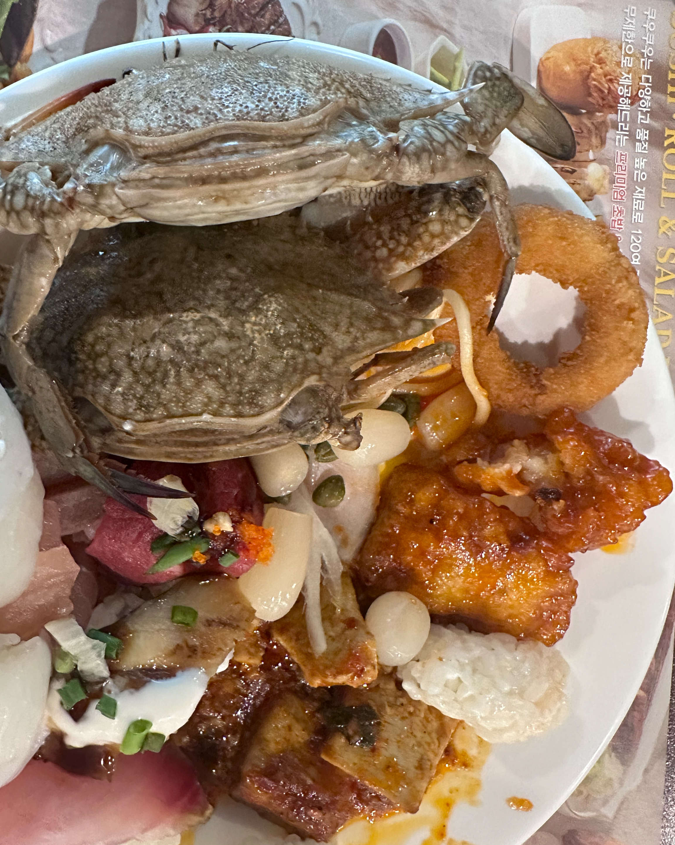 송파 맛집 쿠우쿠우 송파하비오점 내돈내산 찐리뷰