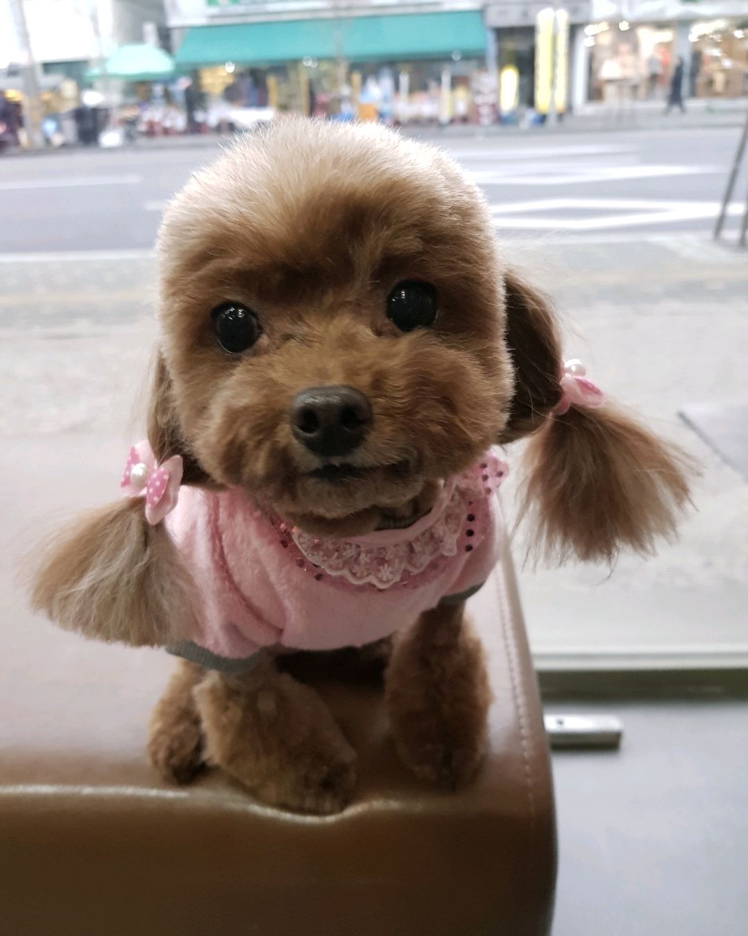 리뷰 사진 1