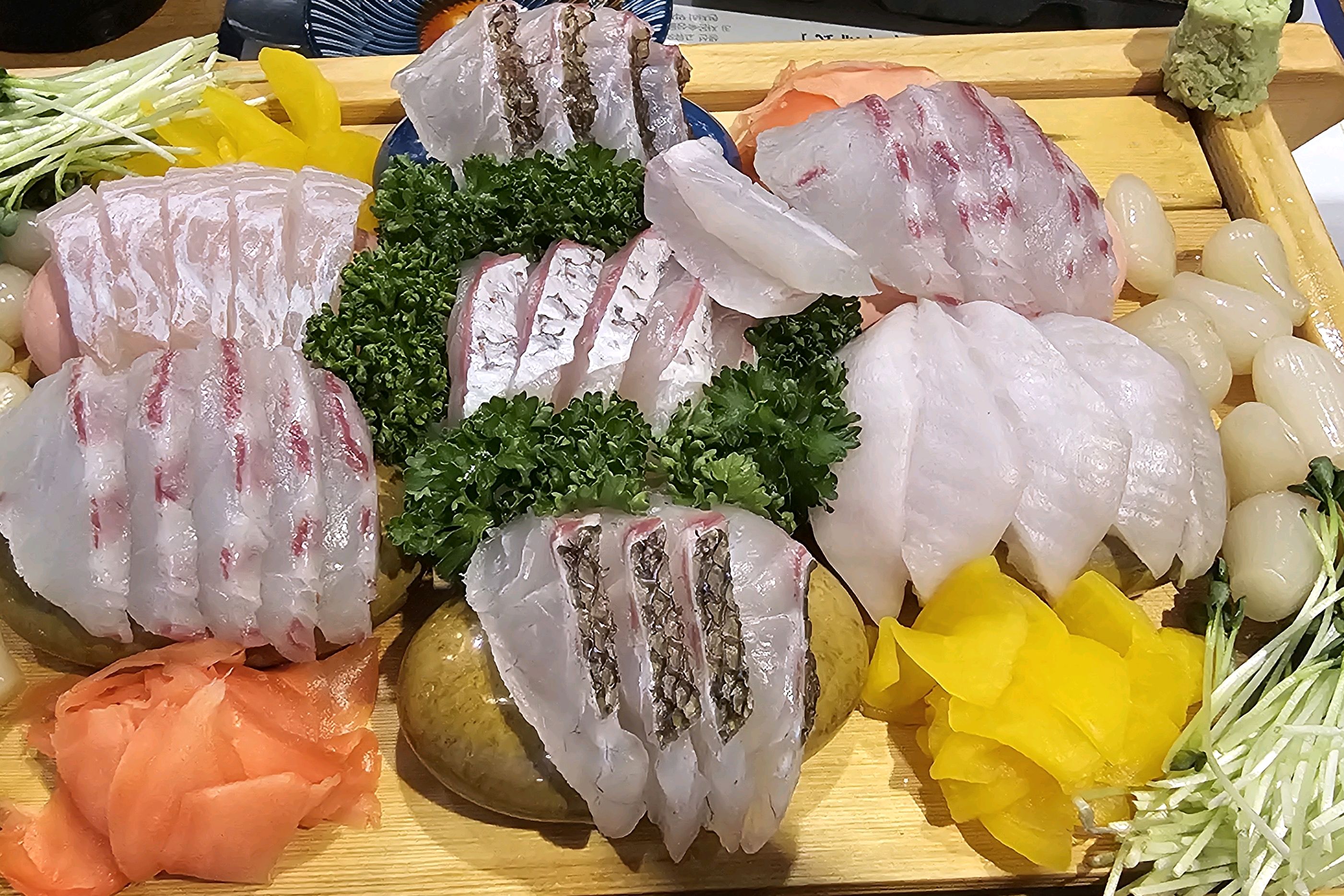 정자역 맛집 물고기자리 정자점 내돈내산 방문리뷰