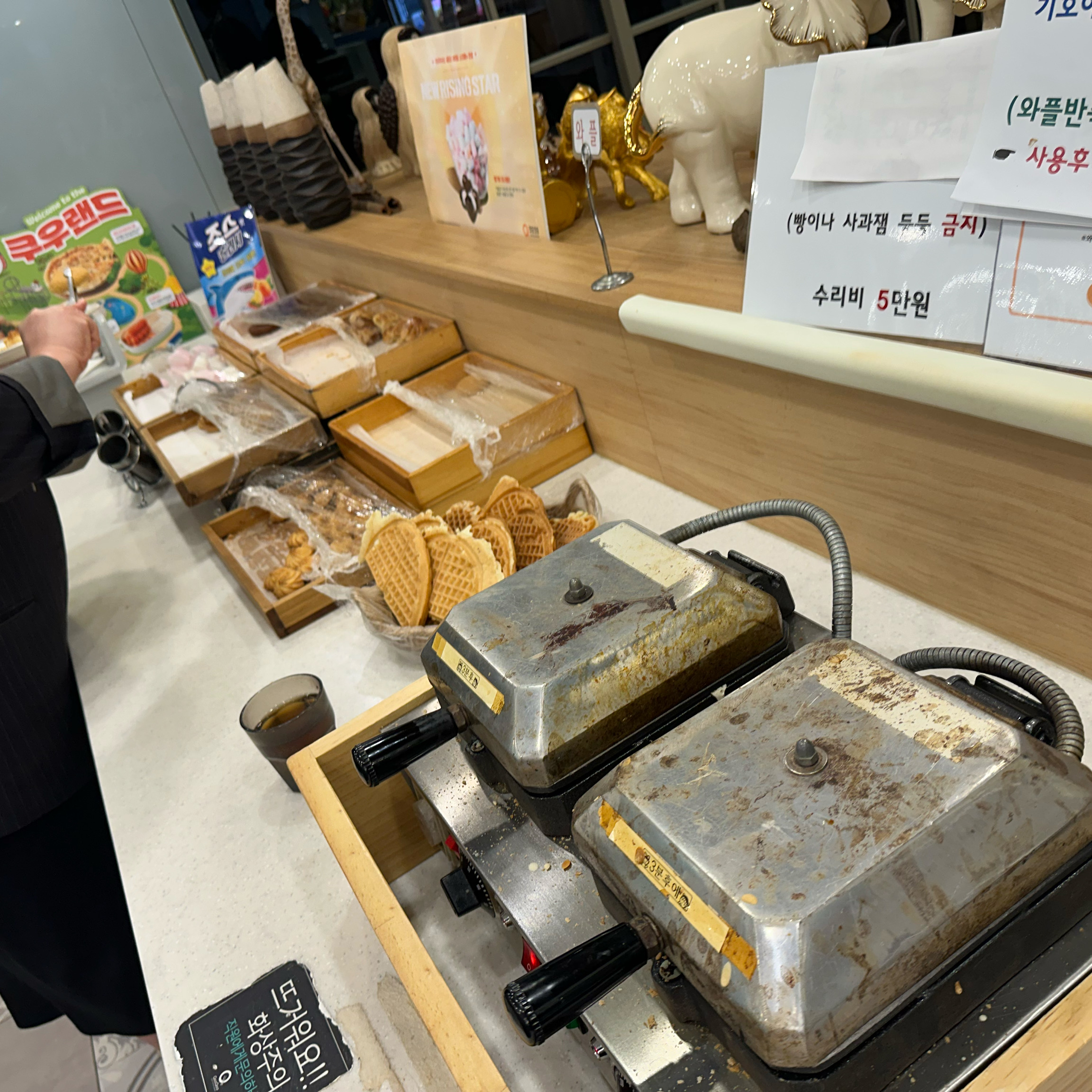 송파 맛집 쿠우쿠우 송파하비오점 내돈내산 찐리뷰
