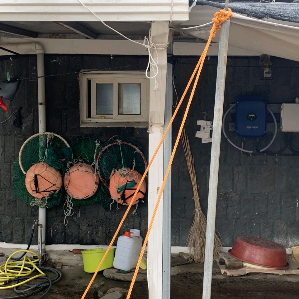 귤모찌 맛나요 - 제주 맛집 할머니떡집 오메기떡