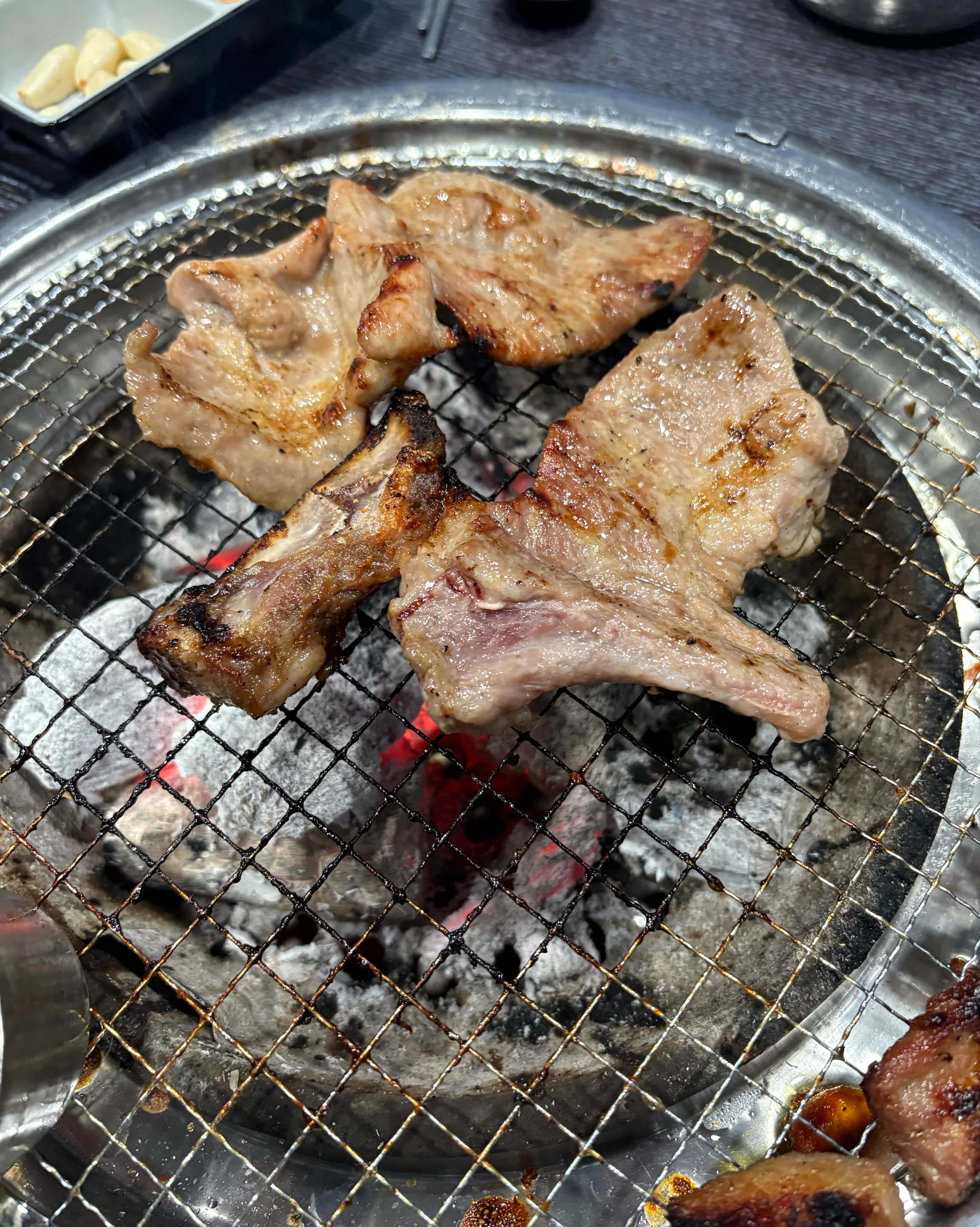 속초에서 강아지와 함께 식사할 수 있는 곳 찾았어요. - 아바이마을 맛집 물회주는 고깃집 청초숯불갈비
