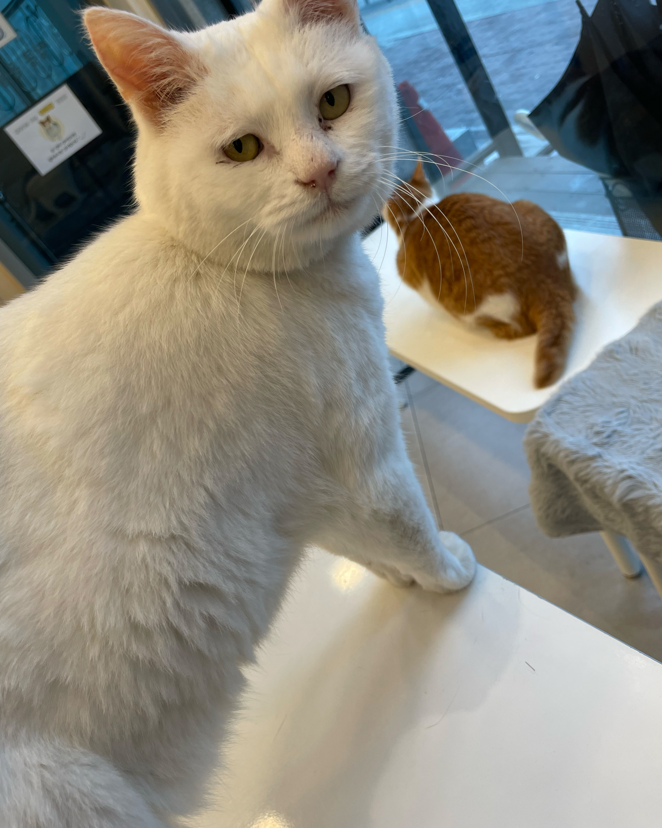 리뷰 사진 2