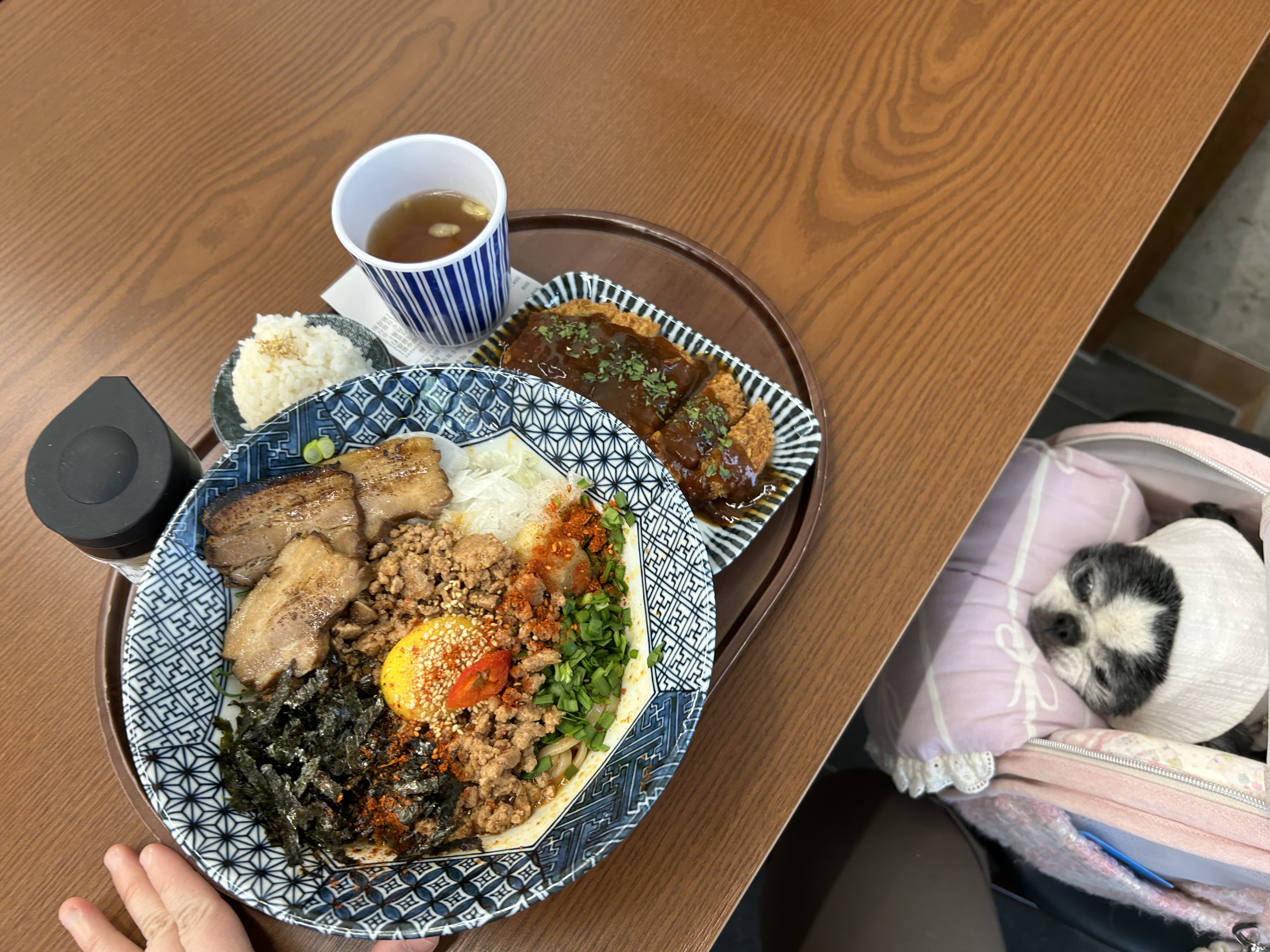 강아지 다니는 병원 바로 옆에 동반식당이 있어서 좋네요 - 불당동 맛집 면식당 천안불당점